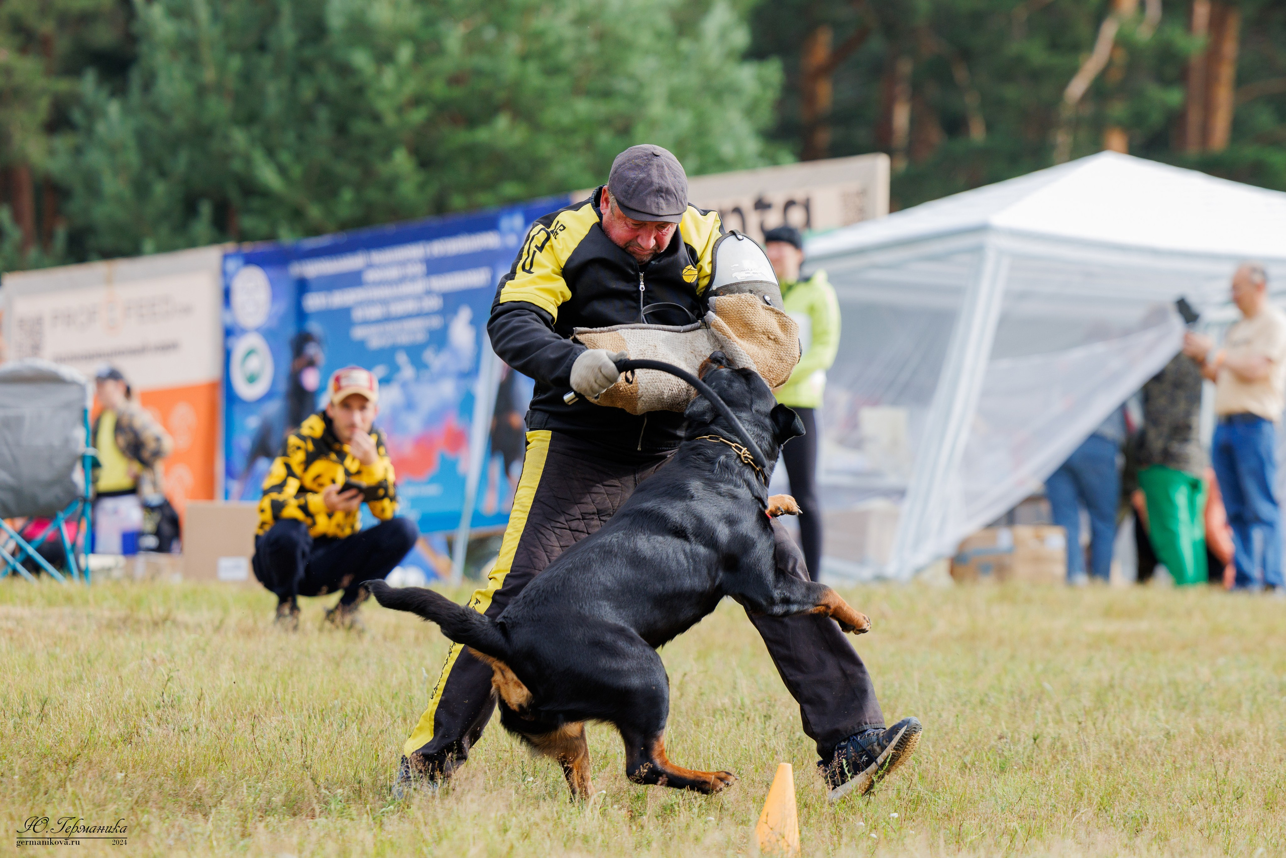 ПК и КЧК ротвейлеры Тверь 6-7.07.2024. Фотограф-анималист Юлия Германика