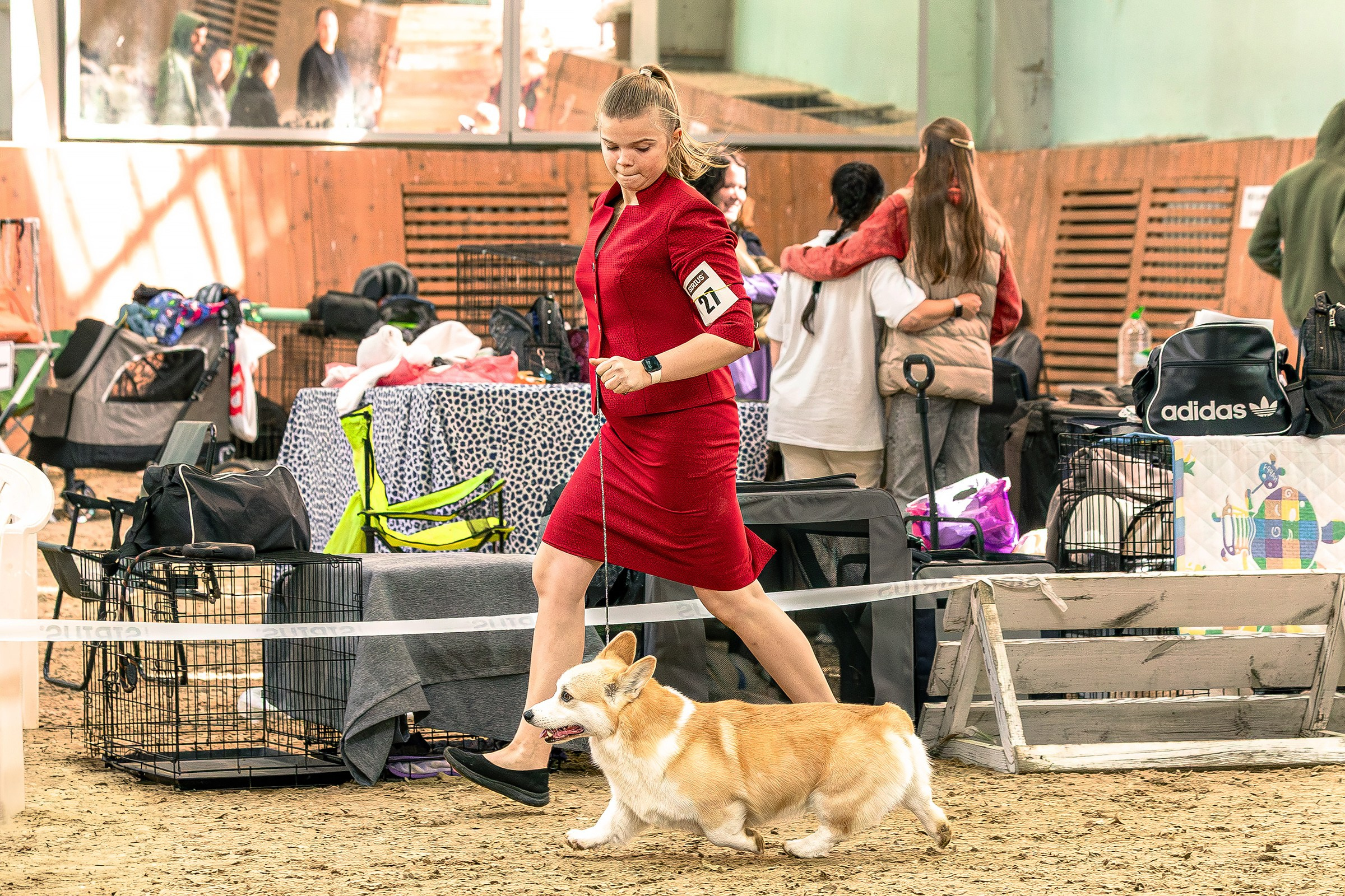 30 августа 2025, Выставка РКФ, г. Челябинск. Htykk_photo