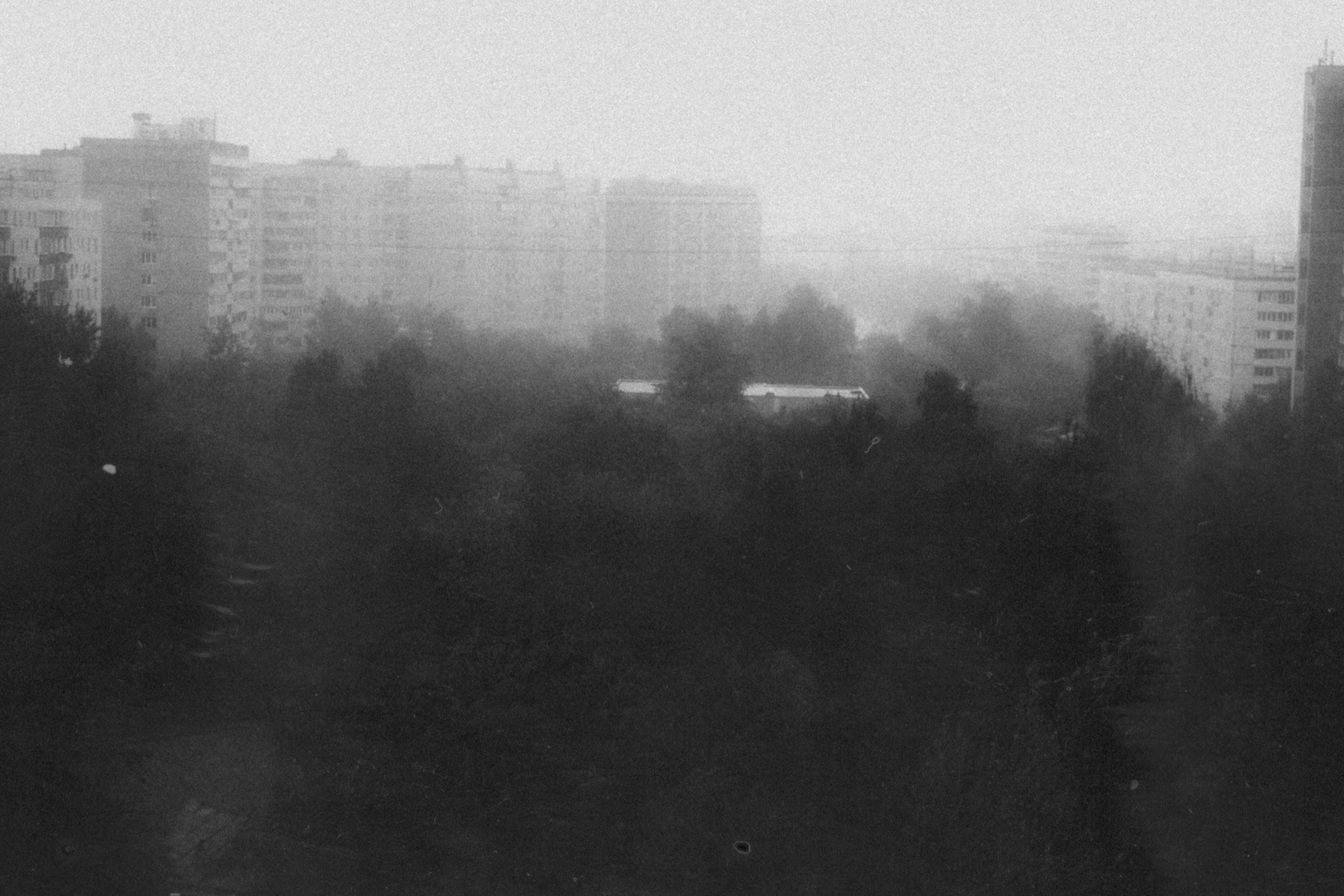 Angel's friends. Фотограф Москва