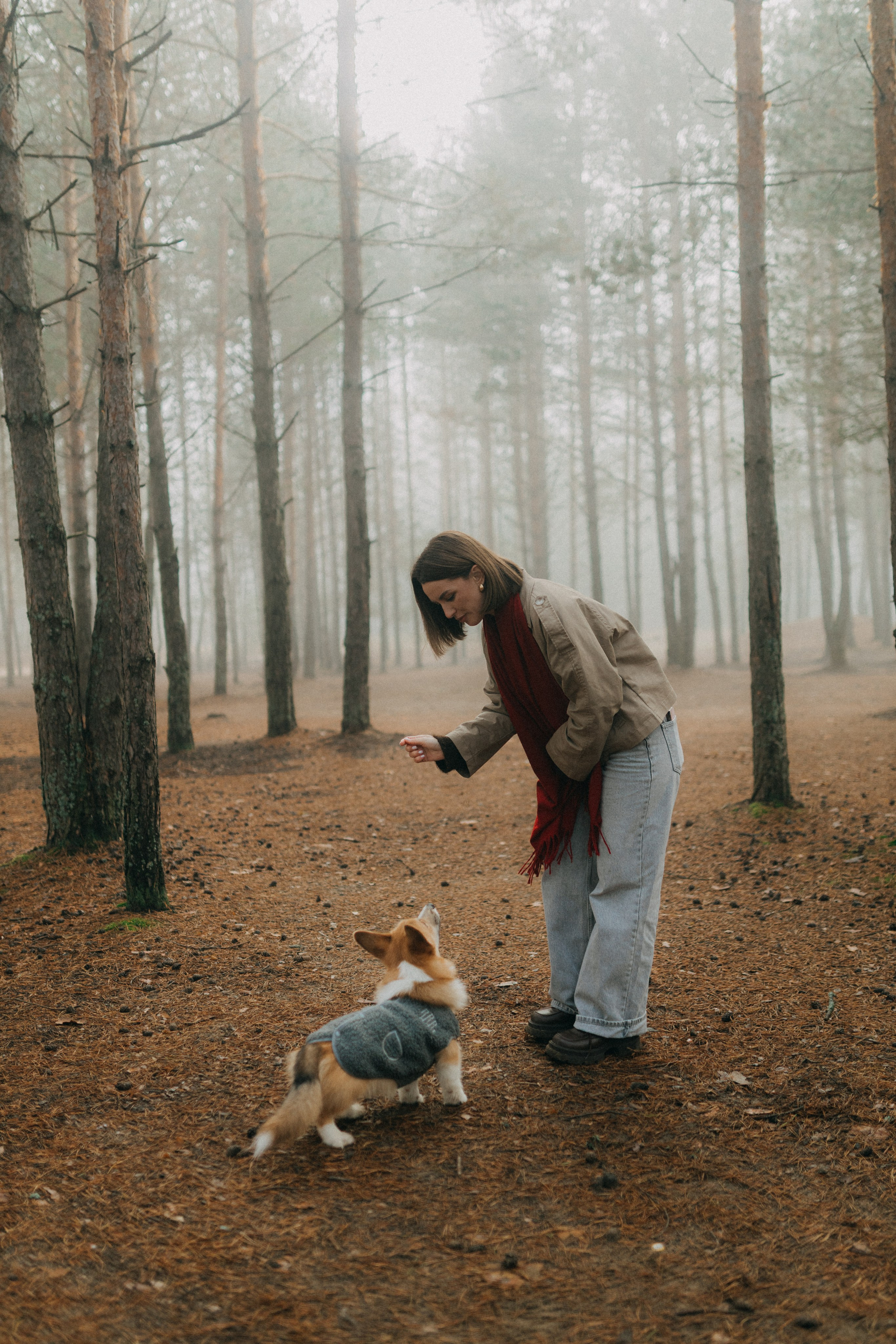 Алина. Фотограф НОГИНСК, Москва, Анастасия Белая