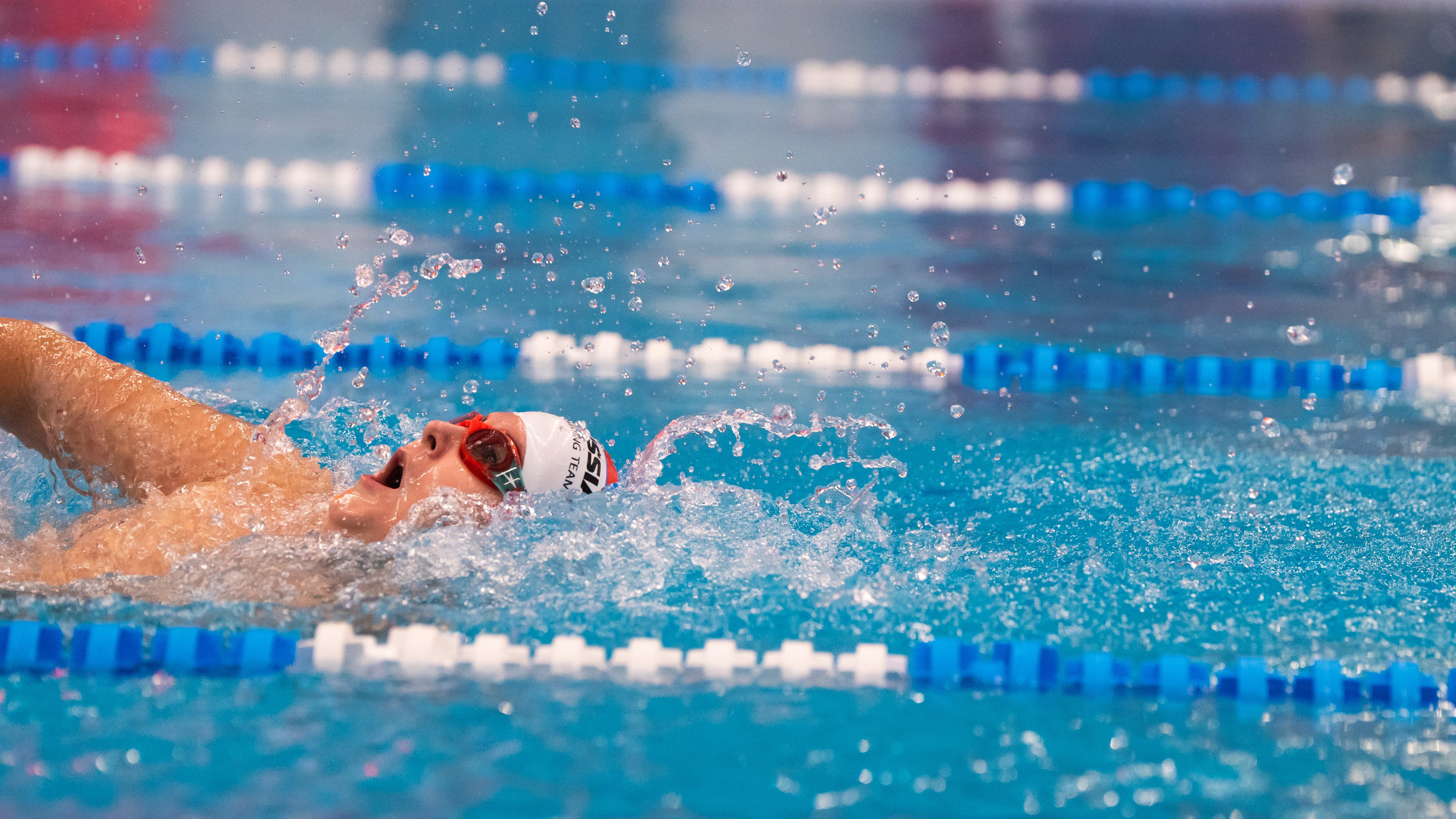 Открытый новогодний турнир по плаванию «Сила воды», 2025. Фотограф и видеооператор Екатерина Гнатюк
