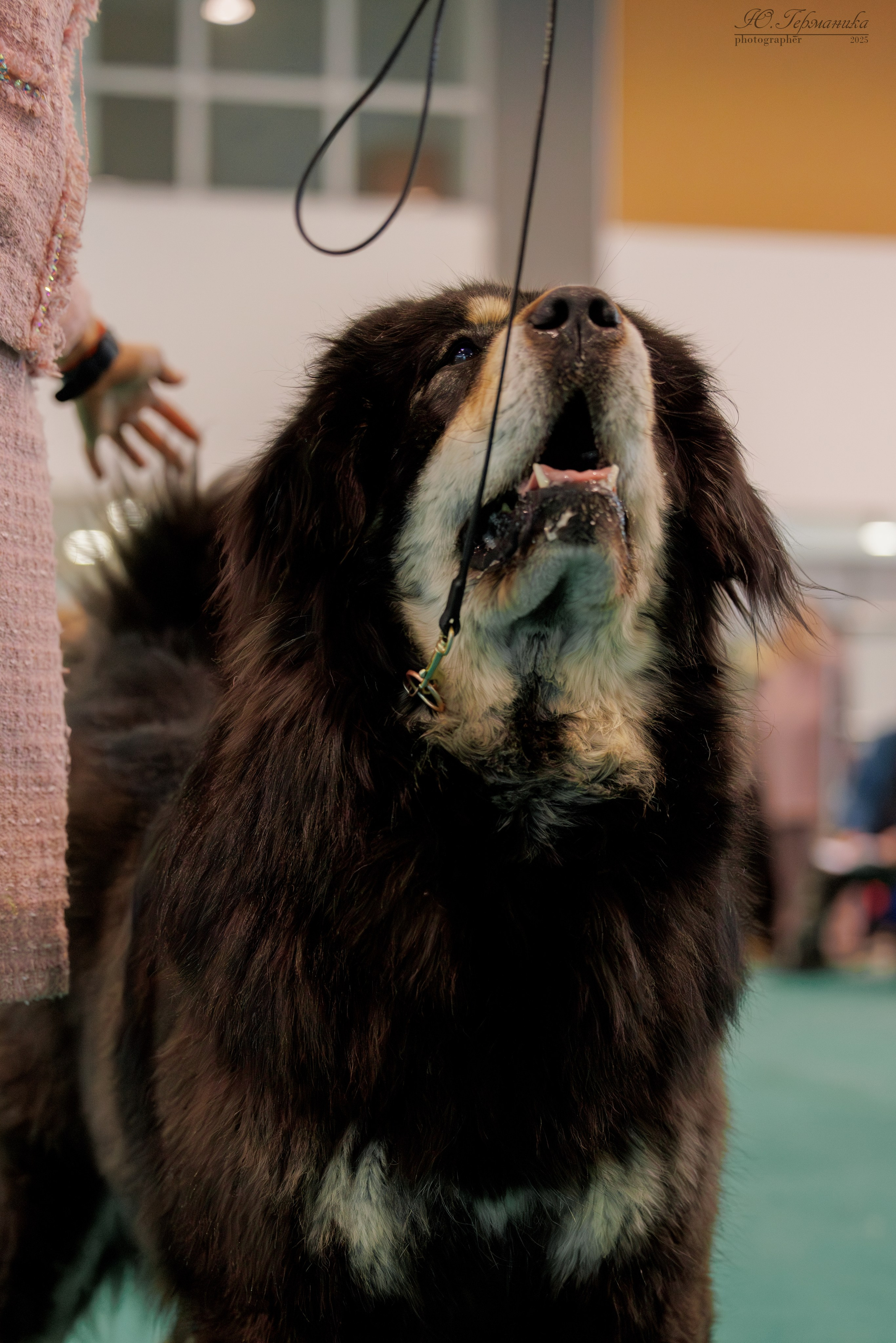 Минск 1-2.03.2025. Фотограф-анималист Юлия Германика