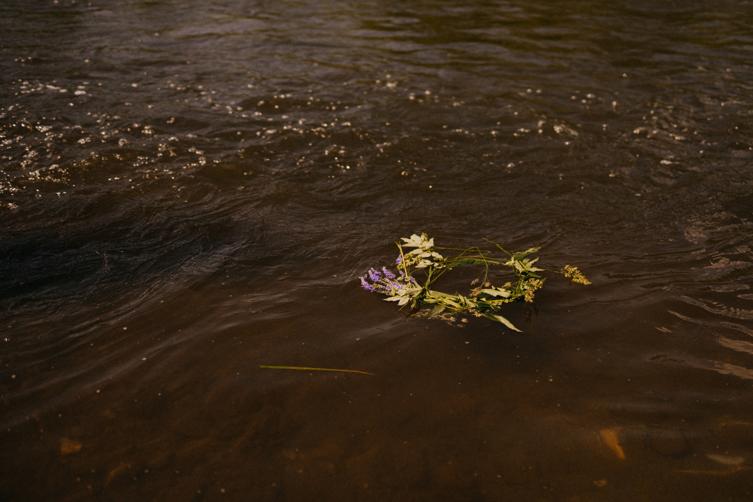 Когда день рождения летом. Фотограф Настя Леонова