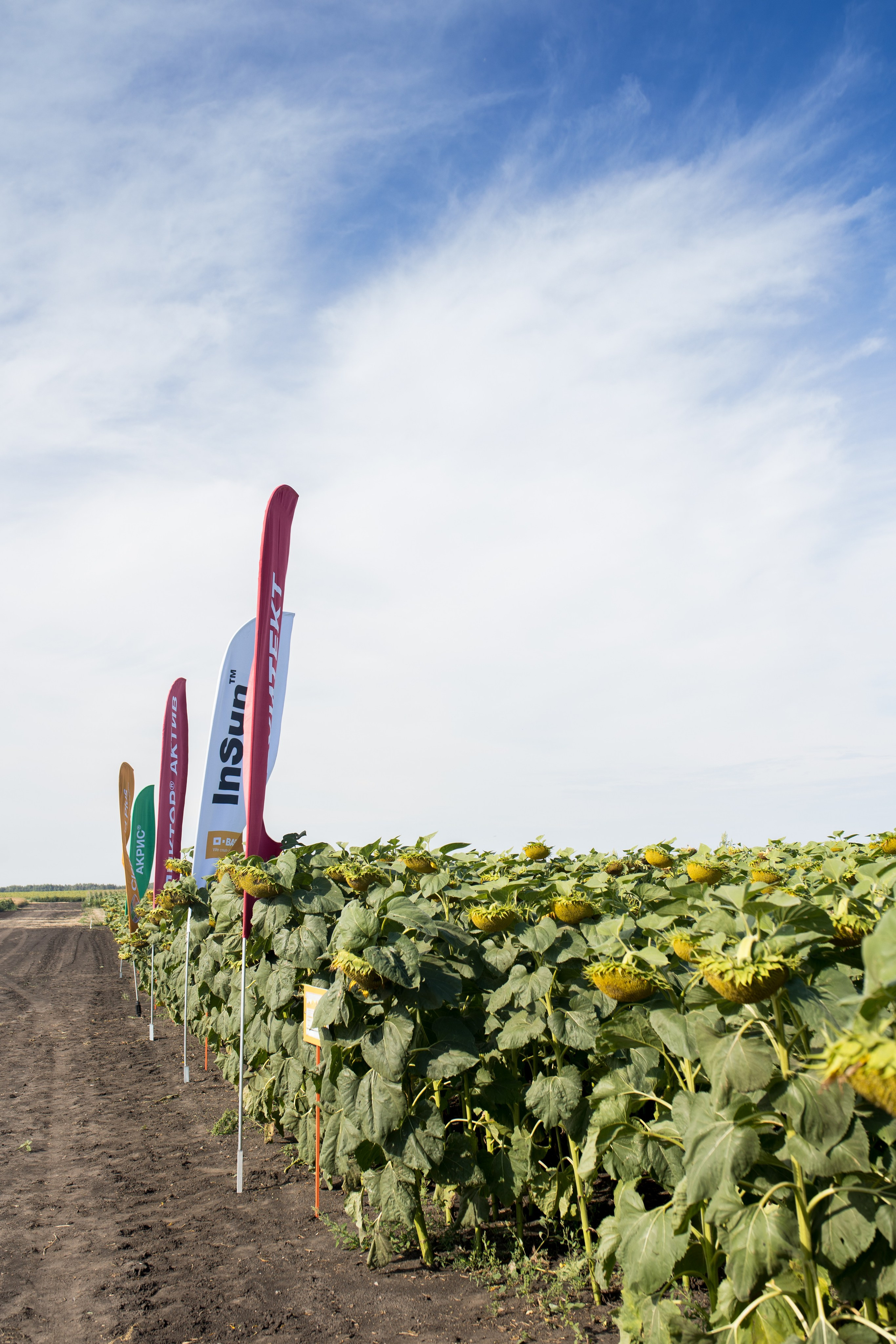 Решения для сельского хозяйства BASF 16.08.2022. Владислав Волков | Фотография и видеосъемка в Воронеже