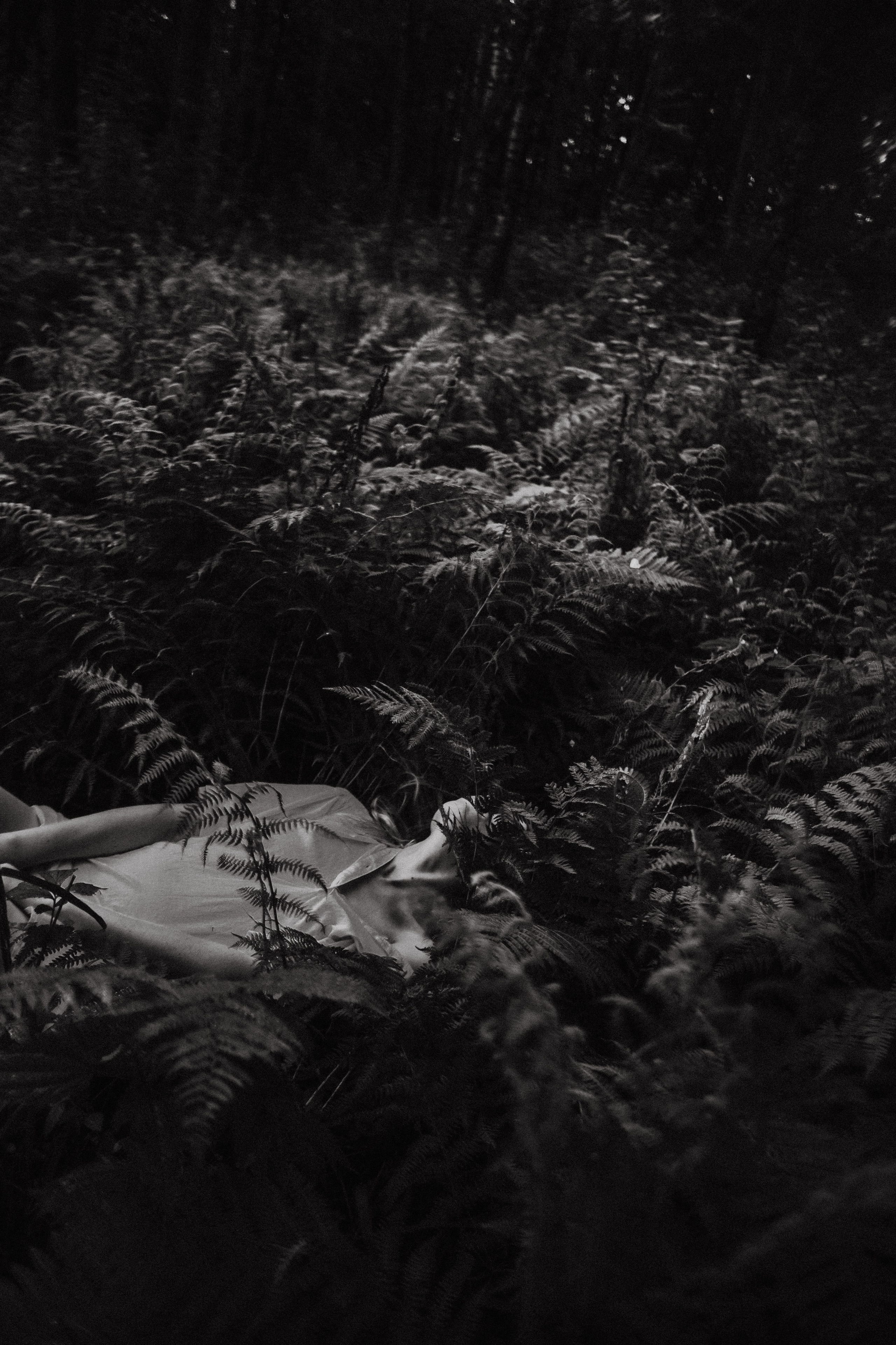 Ирина. Папоротник. Фотограф в Нижнем Новгороде