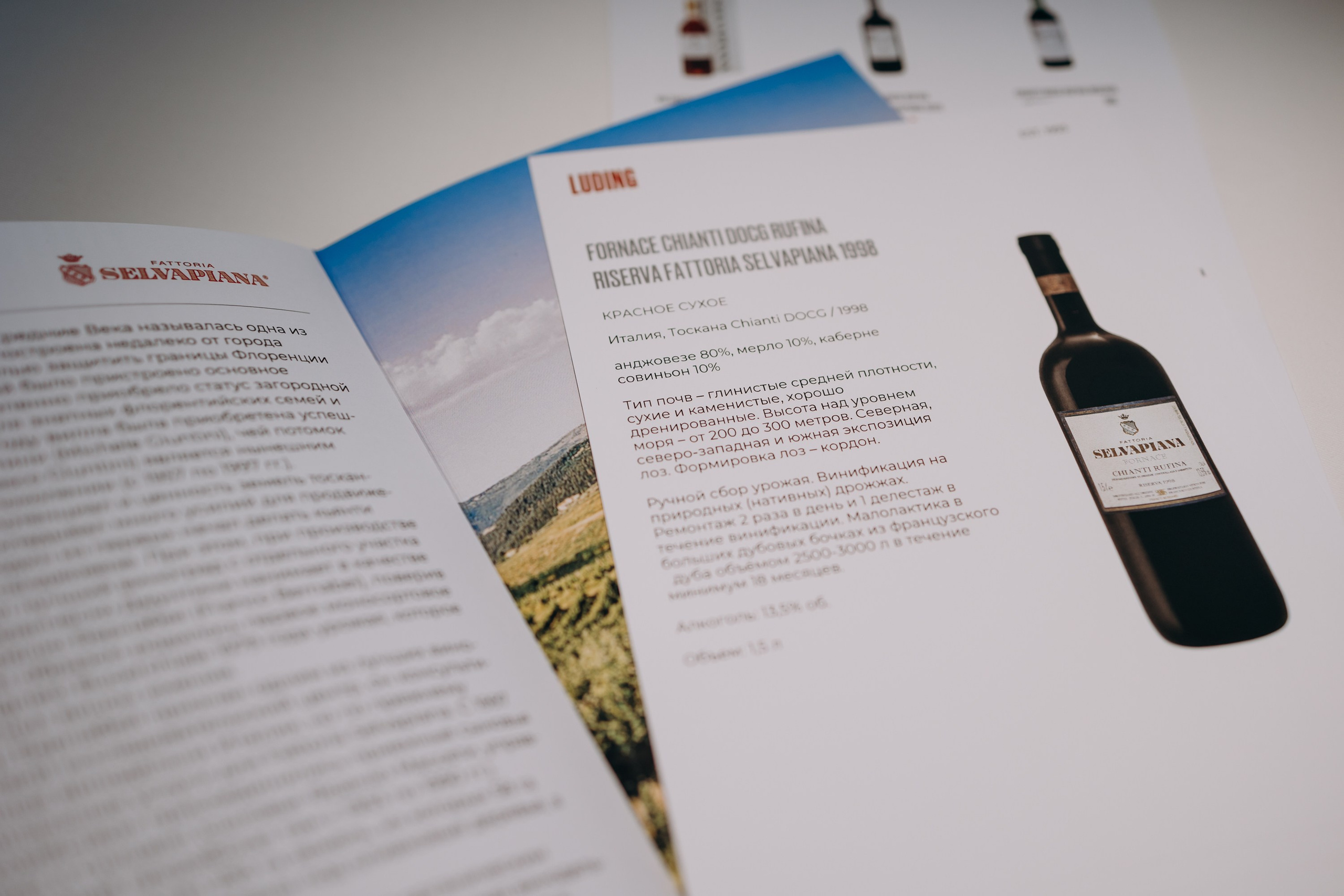 LUDING. Винная дегустация. Репортажный и свадебный фотограф в Москве Лена Таращенко