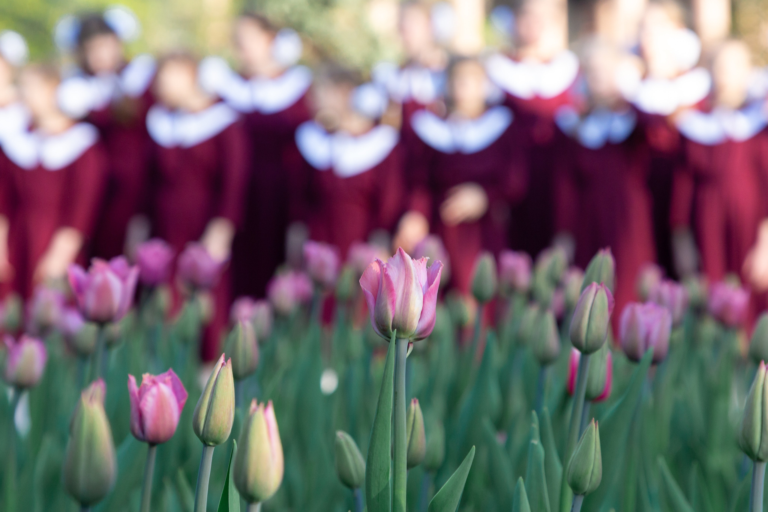 XV Международный пасхальный хоровой фестиваль «Пасха Красная». Семейный и детский фотограф в Санкт-Петербурге Пуликов Дмитрий