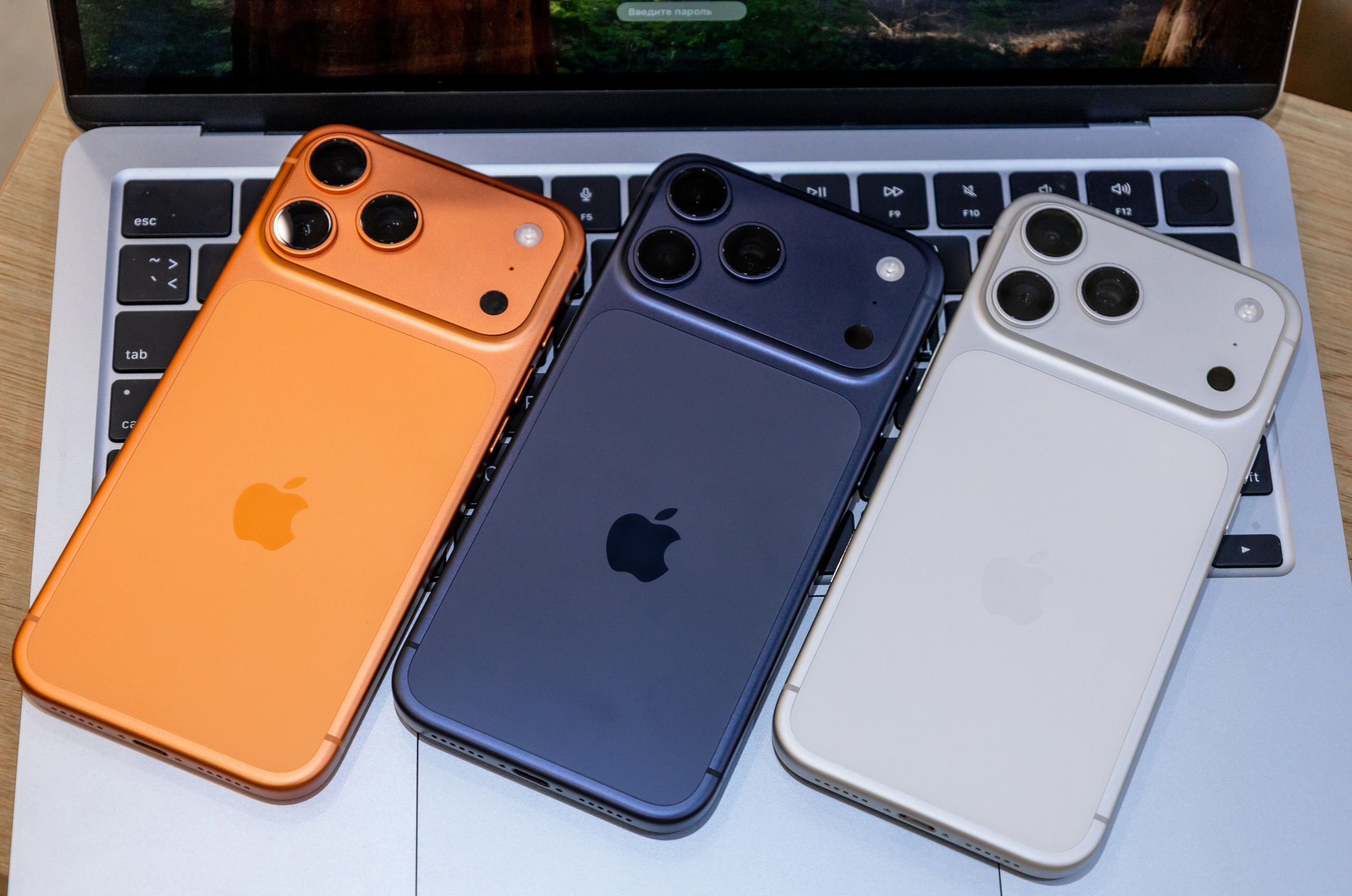 CONNECT CENTR. Семейный и Свадебный фотограф в Сочи