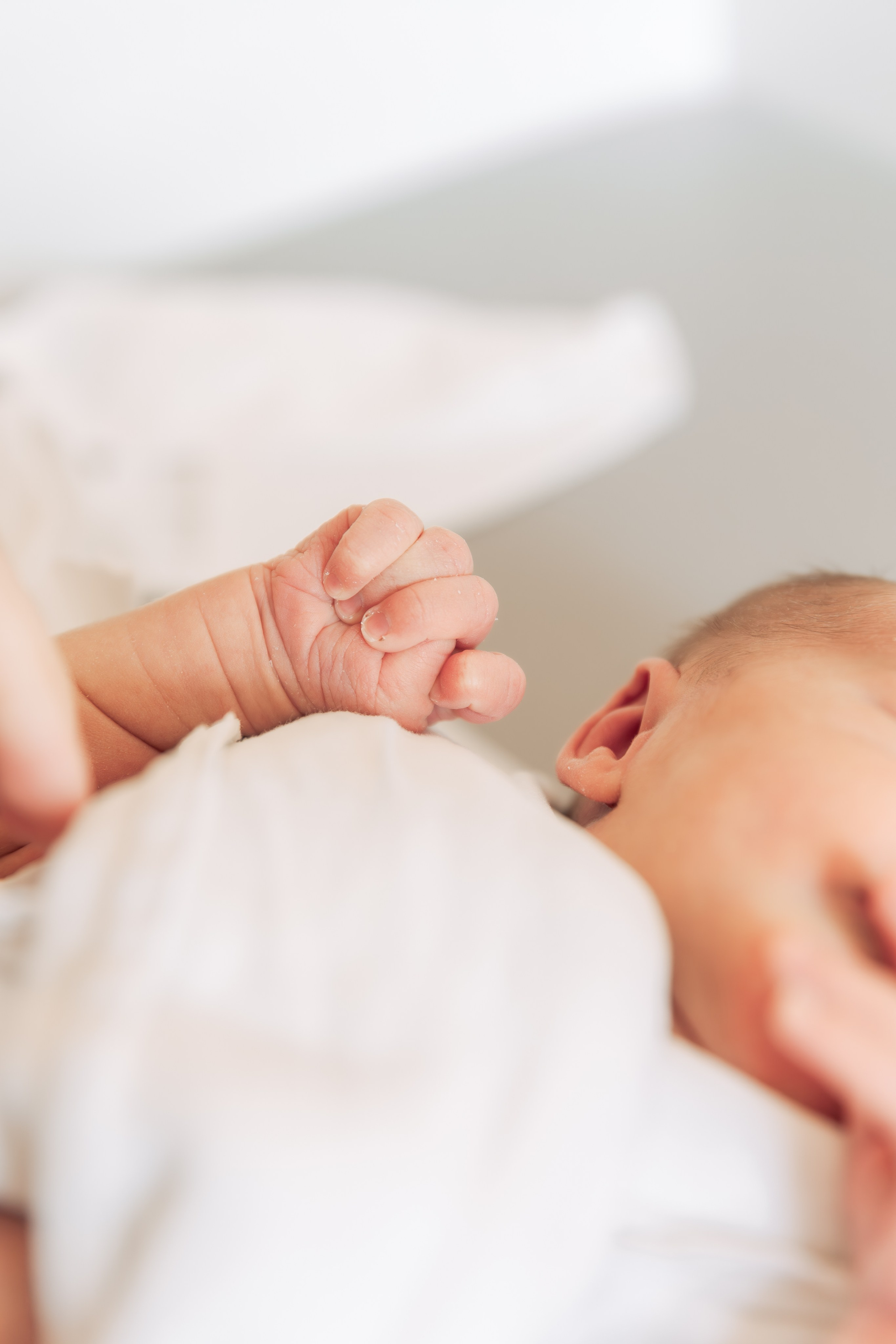 Выписка из ОПЦ