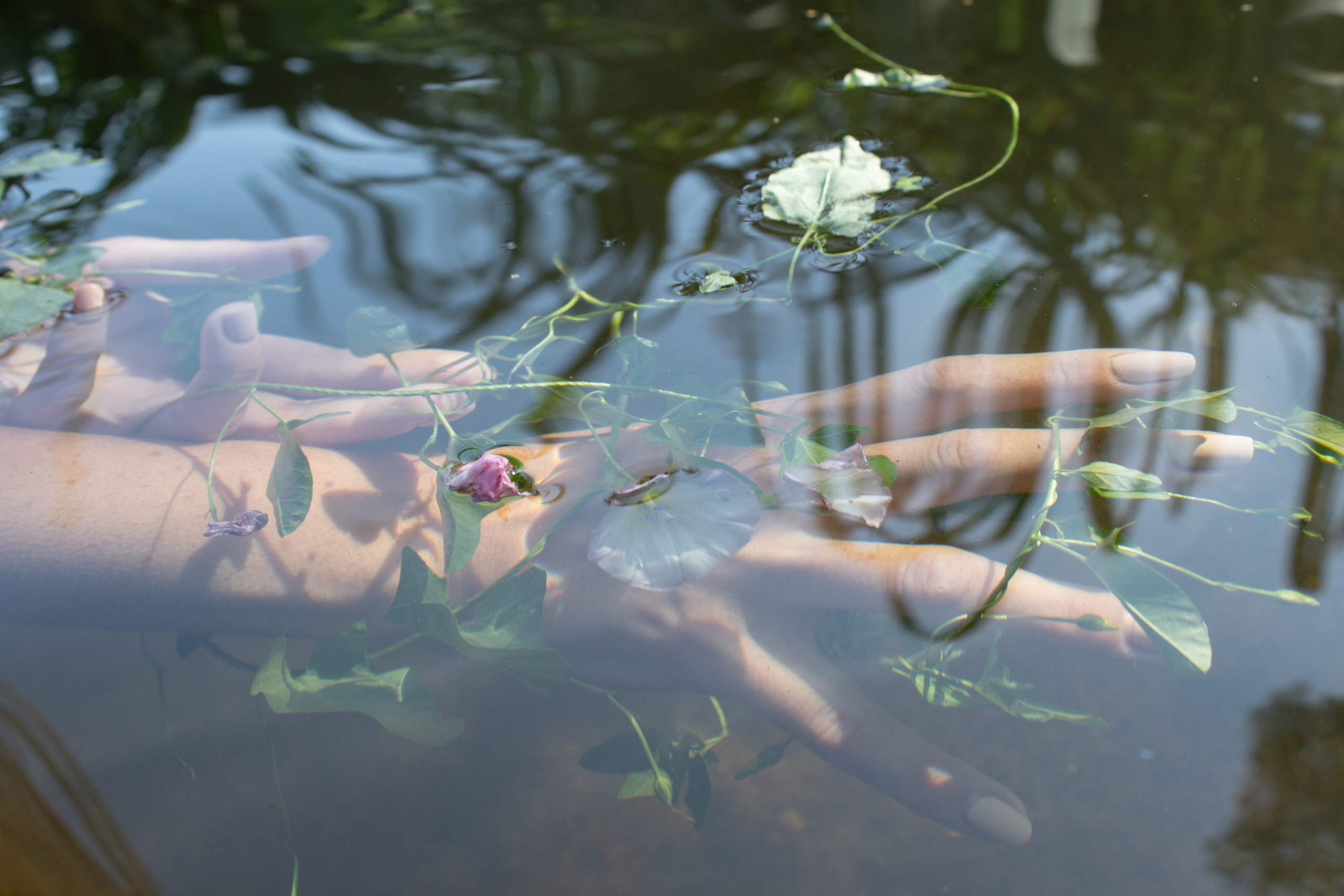 женская рука с цветами под водой