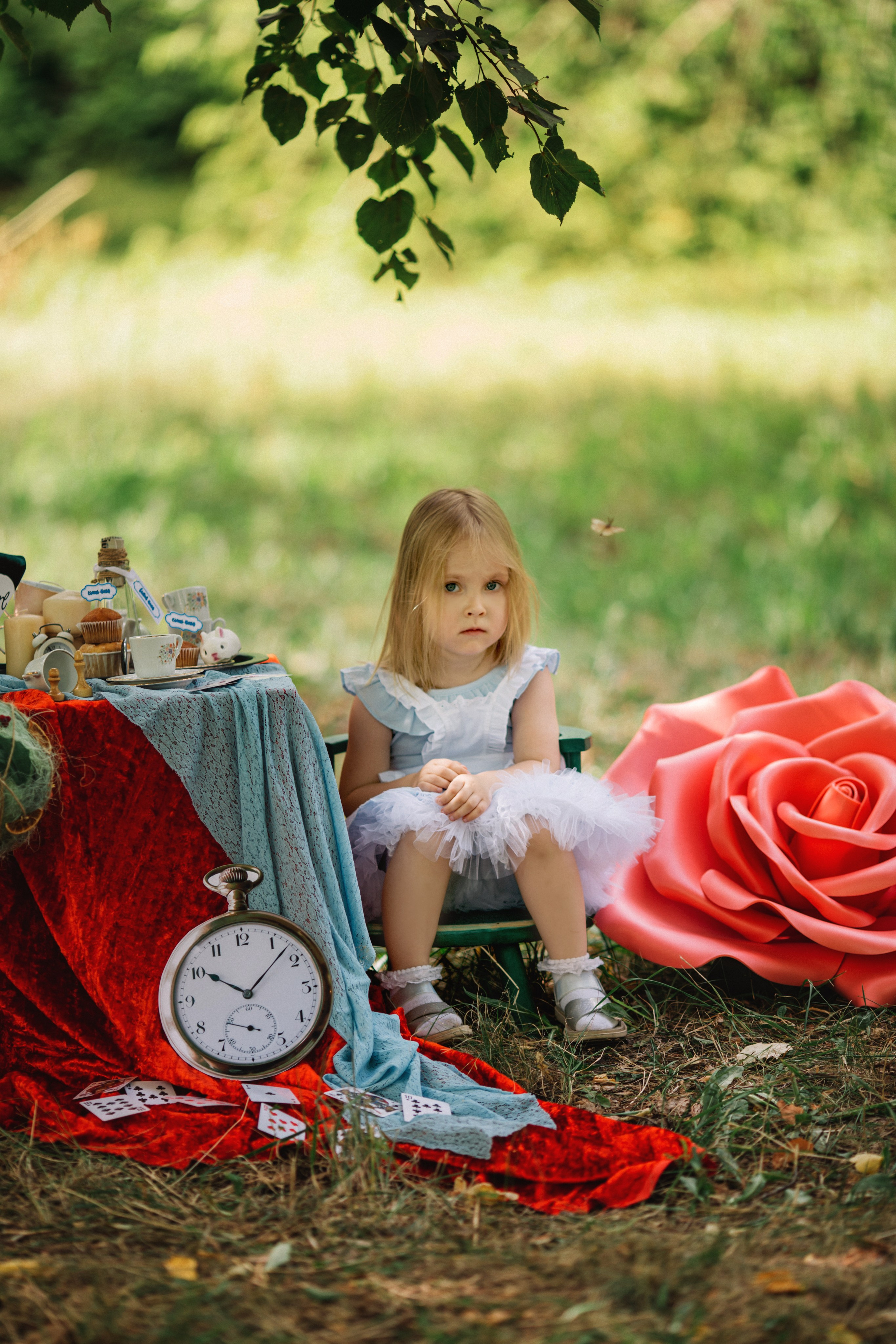 Алиса в стране чудес