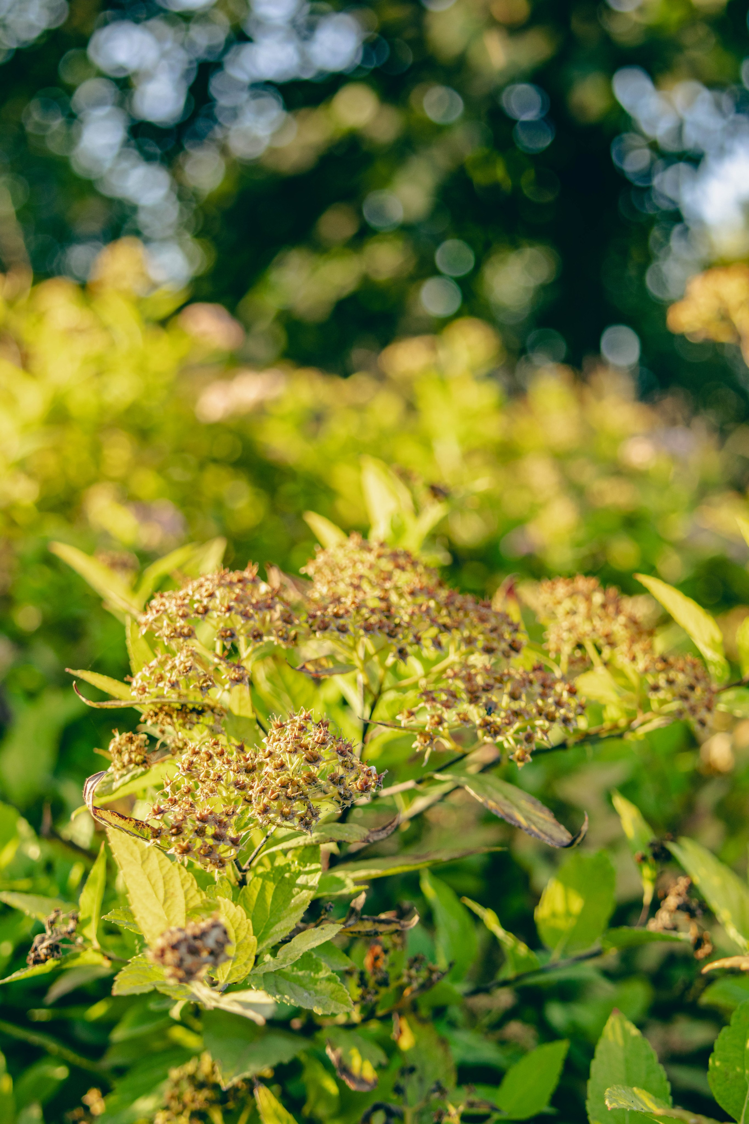 Парк Горького. Jean De Vivre Gallery