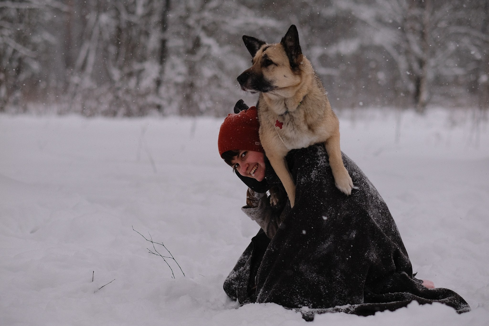 Герда, Лиса и их люди. Дмитрий Бречалов