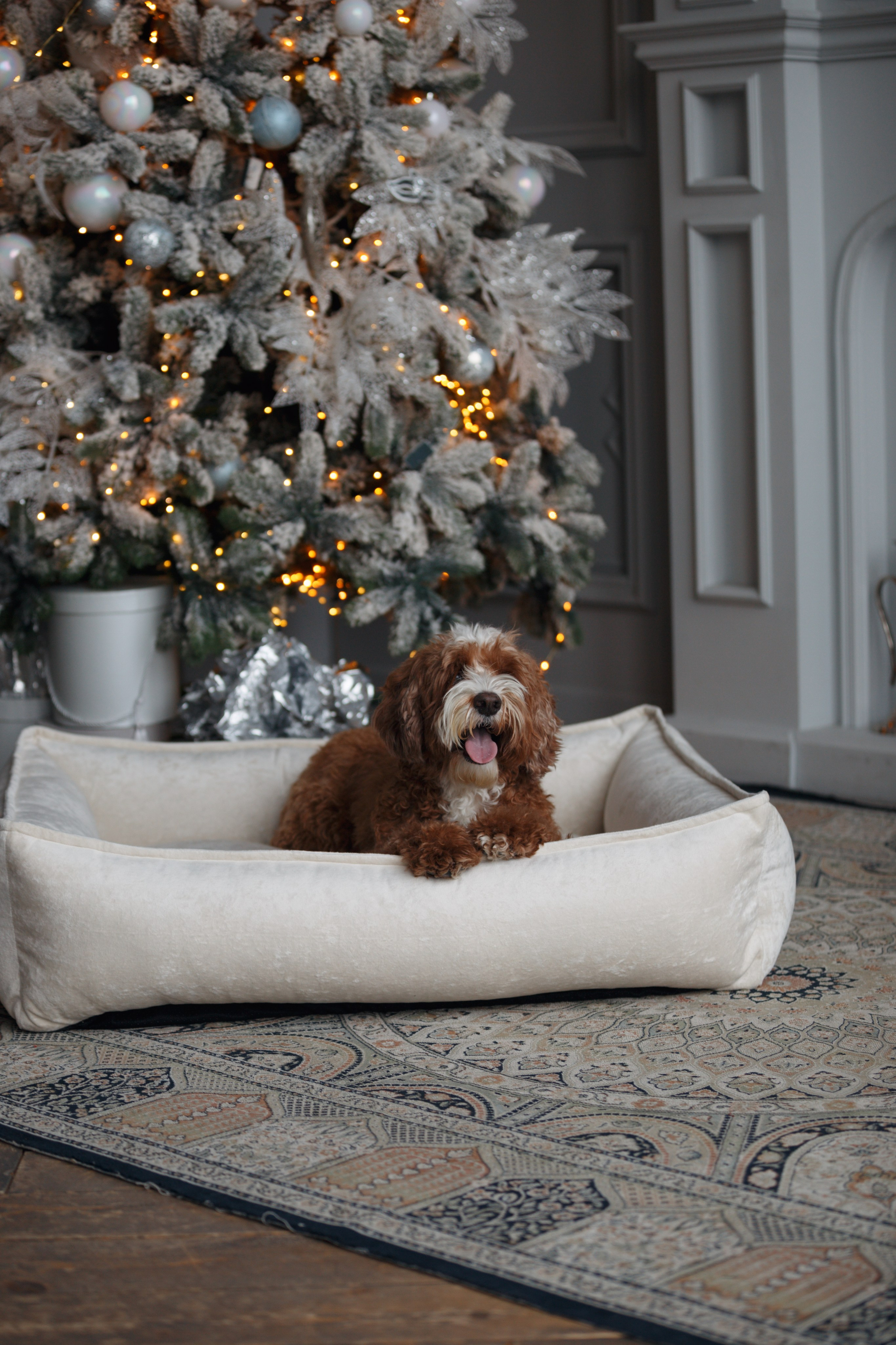 Bmbh лежанки и адресники. Фотограф анималист Кристина Карпова, Москва