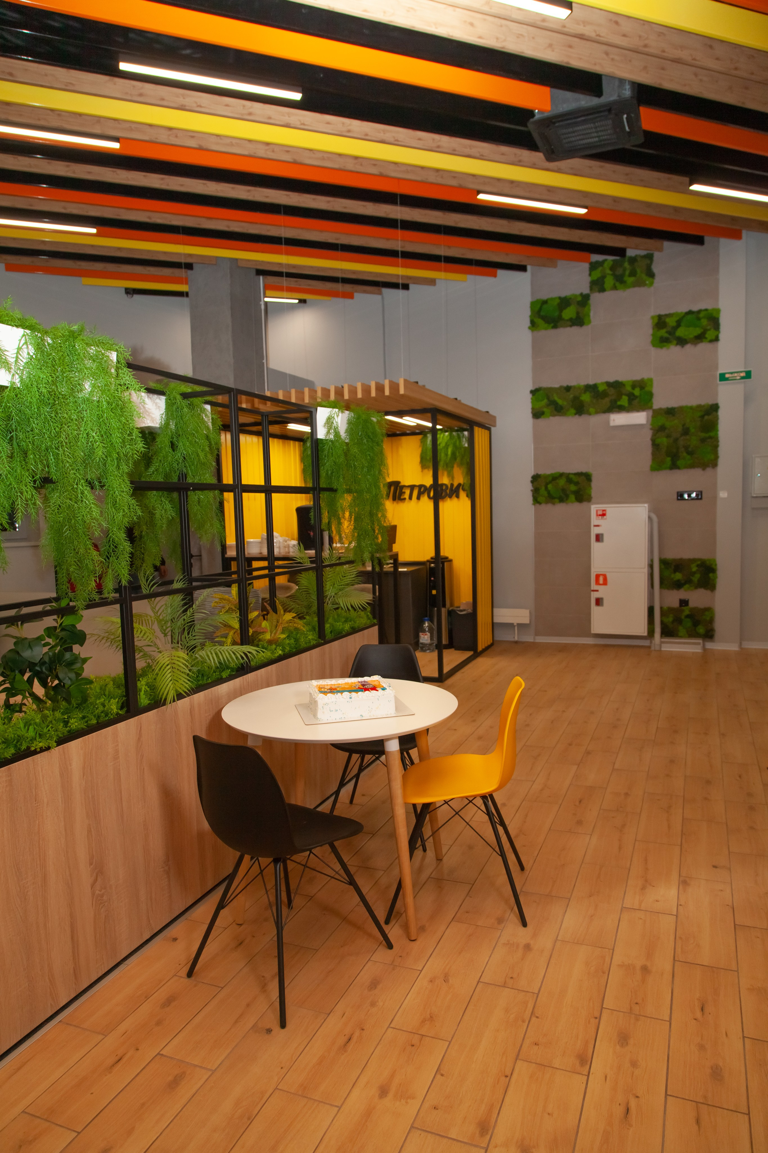 Петрович — открытие коворкинга. Двойняшки-фотографы Анна и Анастасия в Санкт-Петербурге