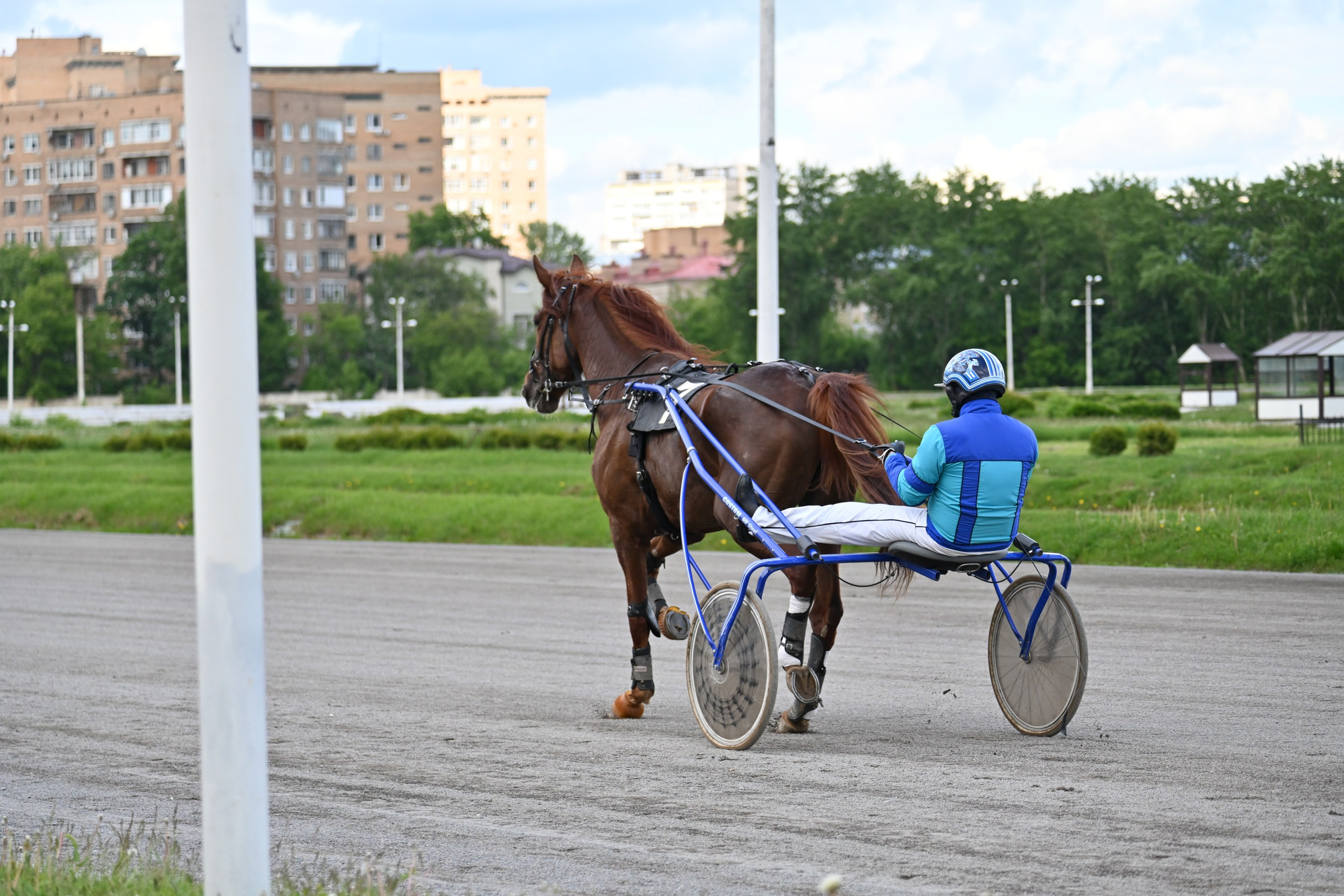 Московский ипподром. Fotolux