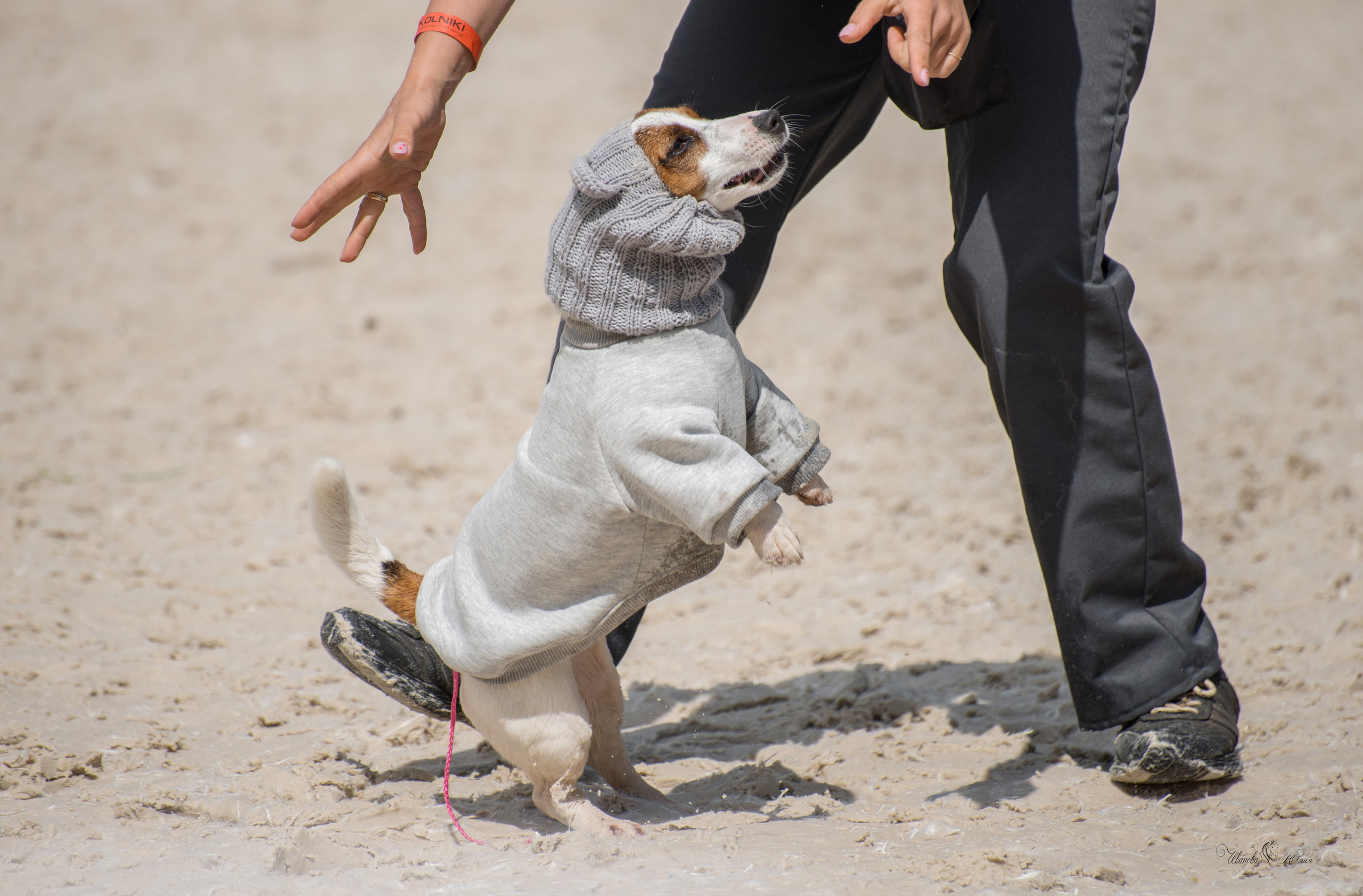 Эквирос, Москва. Конный фотограф в Саратове Юлия Иванова