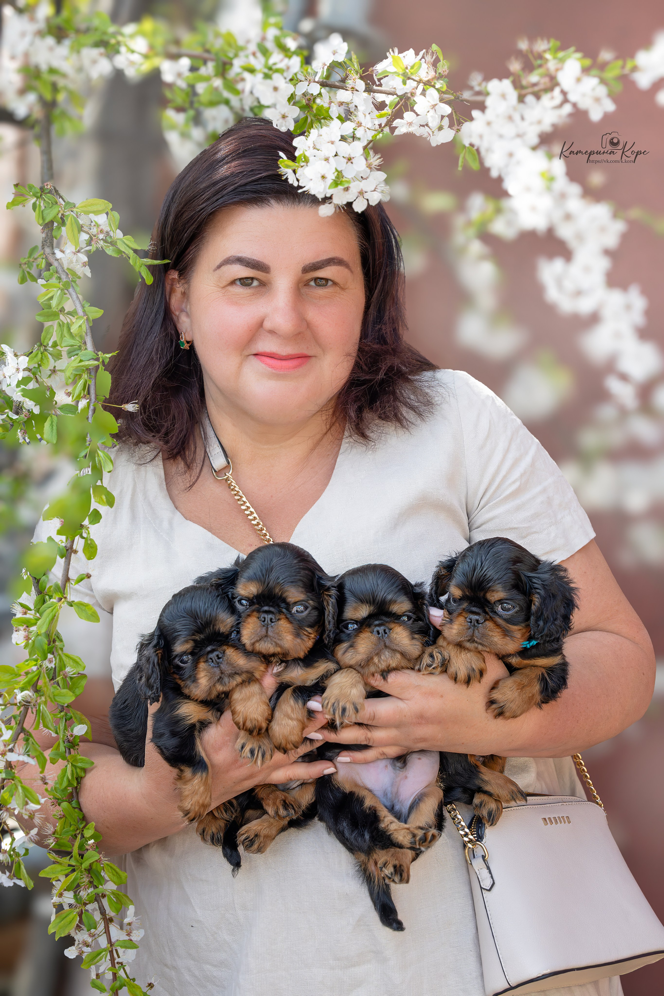 Щеночки Кинг Чарльз Спаниель. Фотограф-анималист Катерина Корс