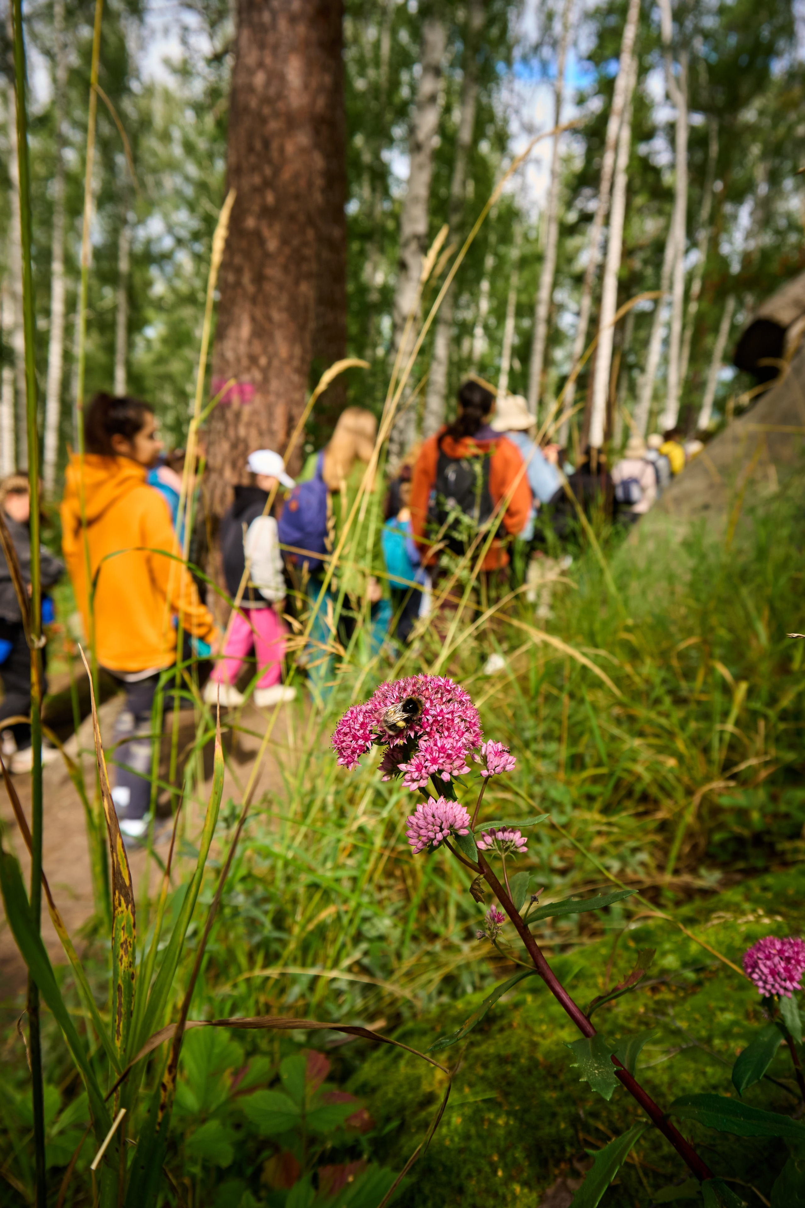 Репортаж/Портреты. …