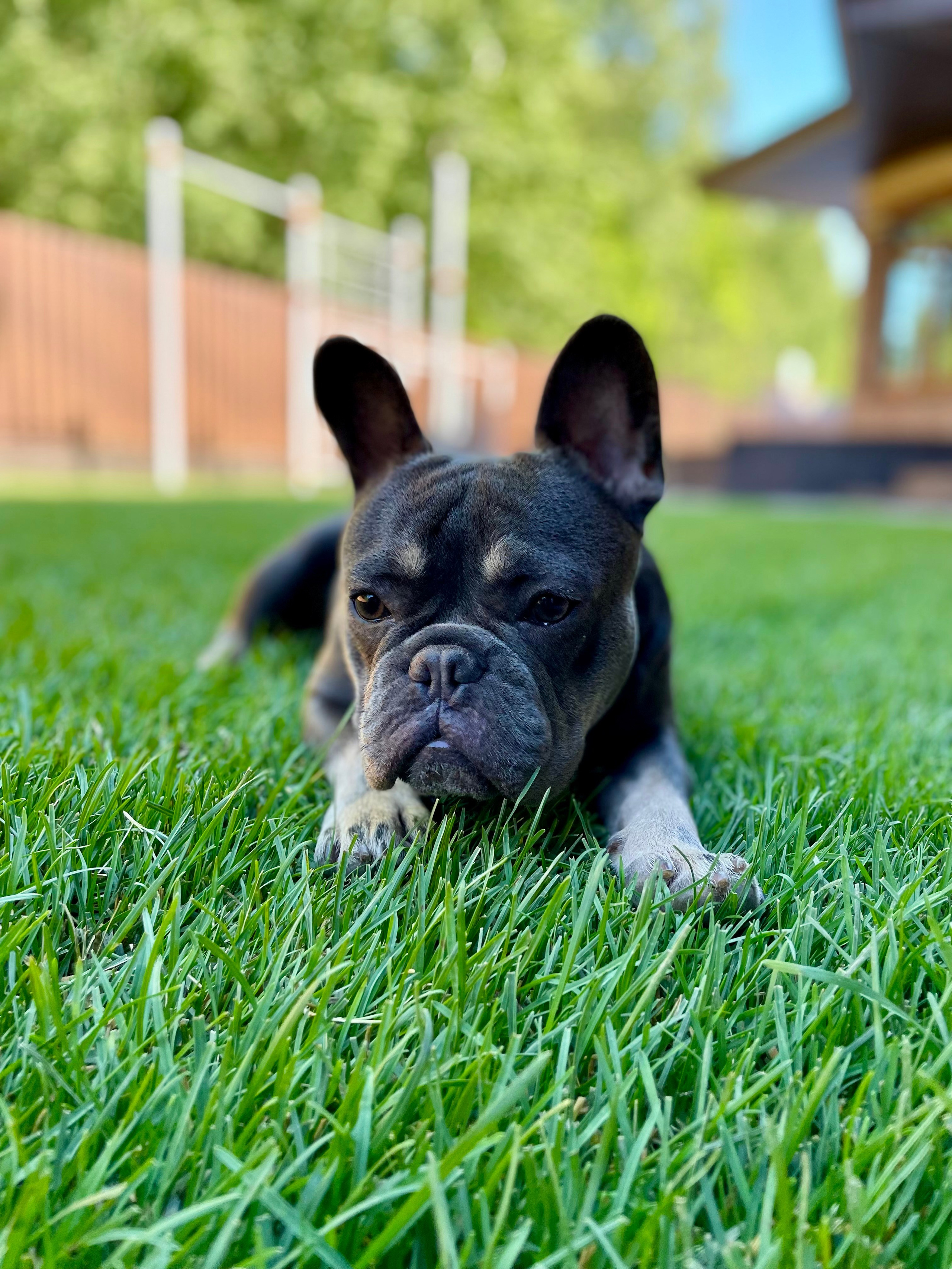 Фотограф Москва. Фотограф и художник в Москве Евгения Нюнина