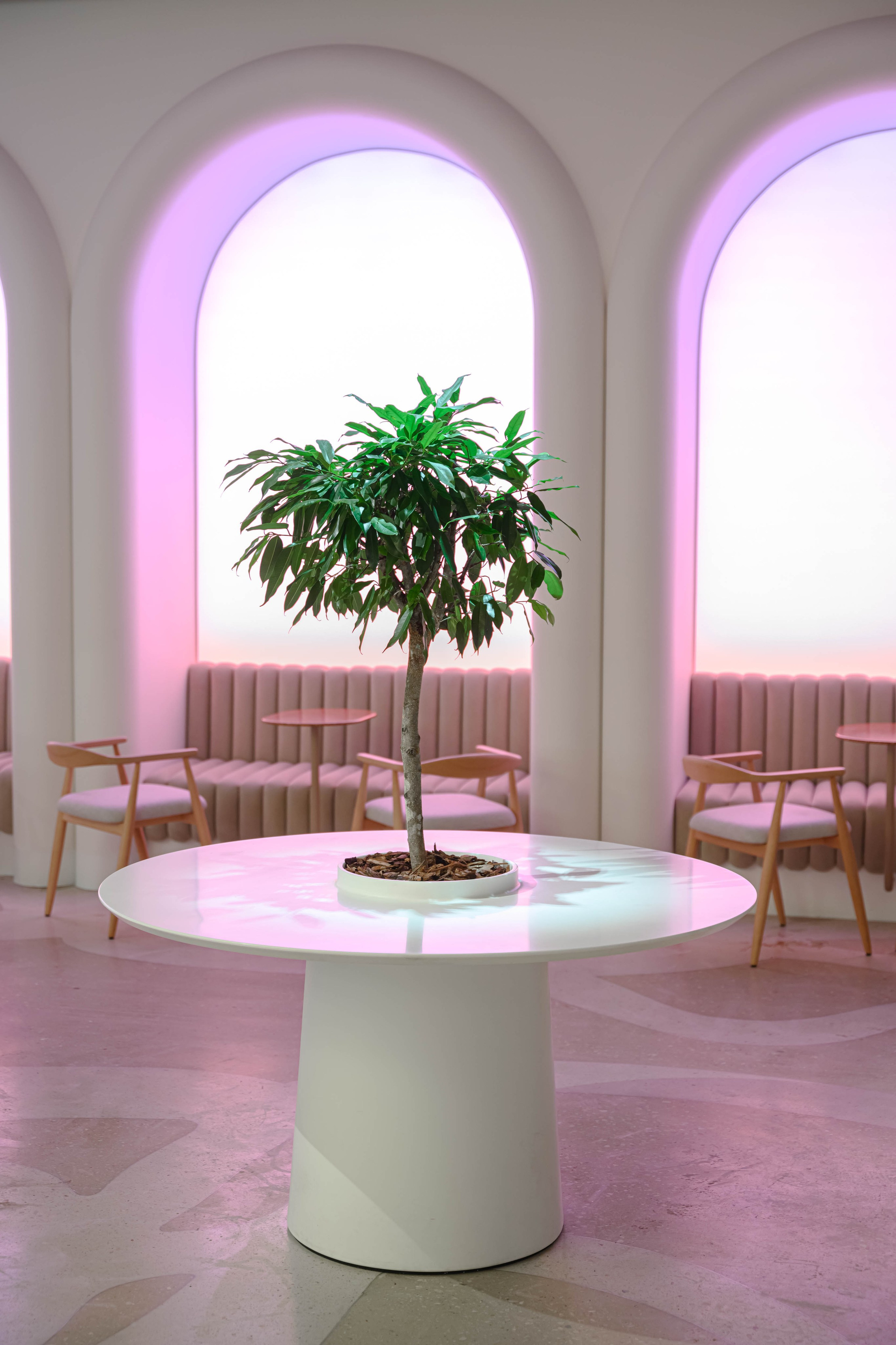 Фотосъемка мебели кофейни в холле аппартаментов Well. Интерьерный и репортажный фотограф в Санкт-Петербурге