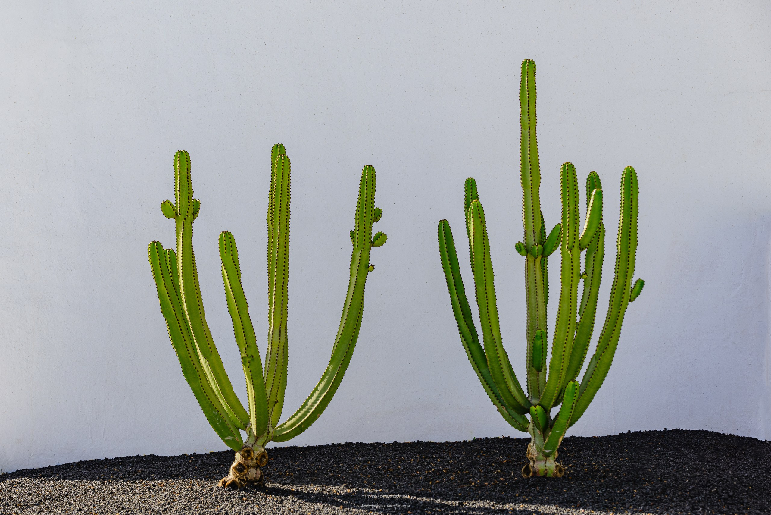 Город. Авторские стильные фотокартины