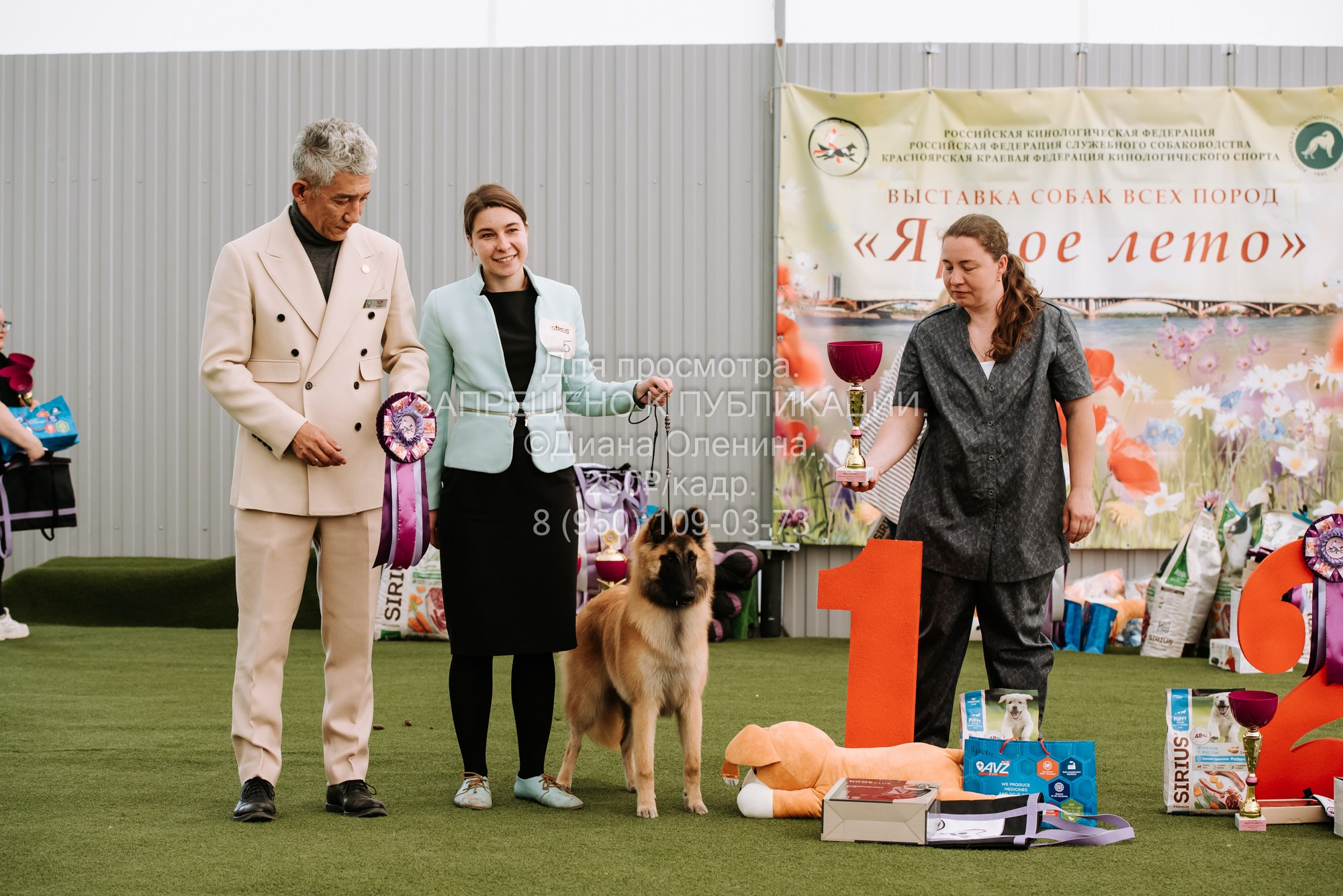 Выставка собак Красноярск 2.06. Фотограф Диана Оленина Красноярск / Братск