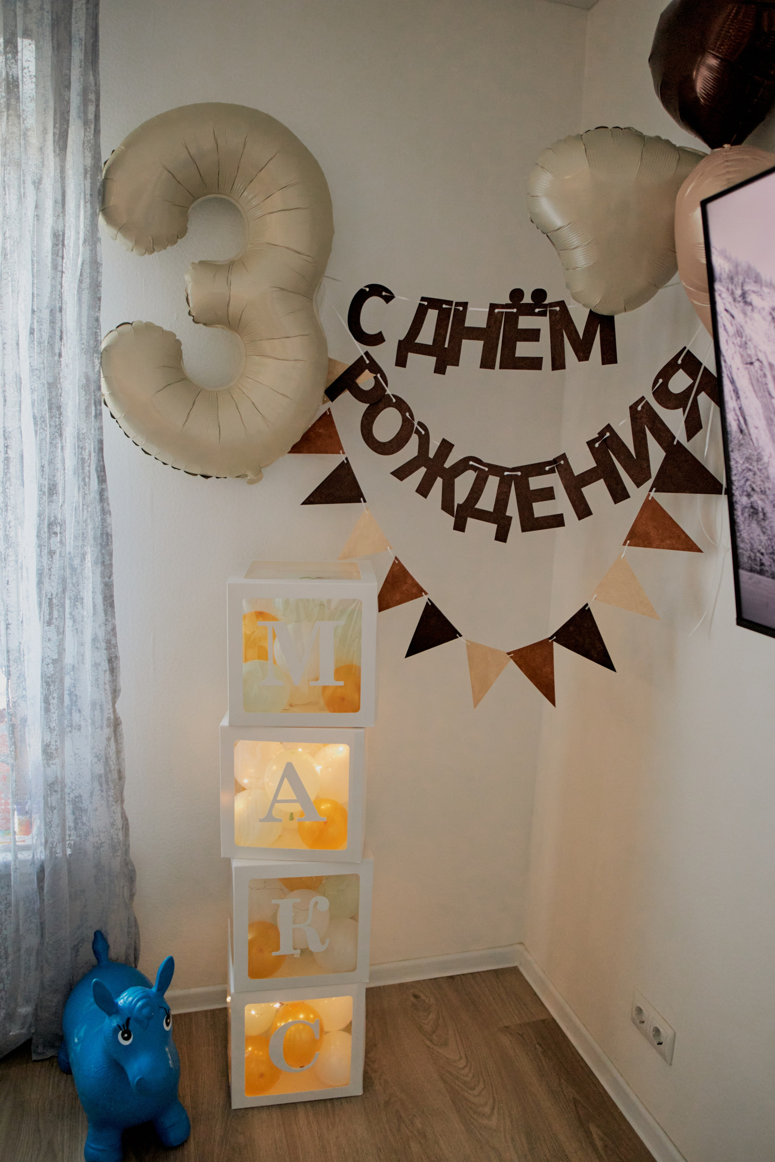 Три кота. Фотограф Москва