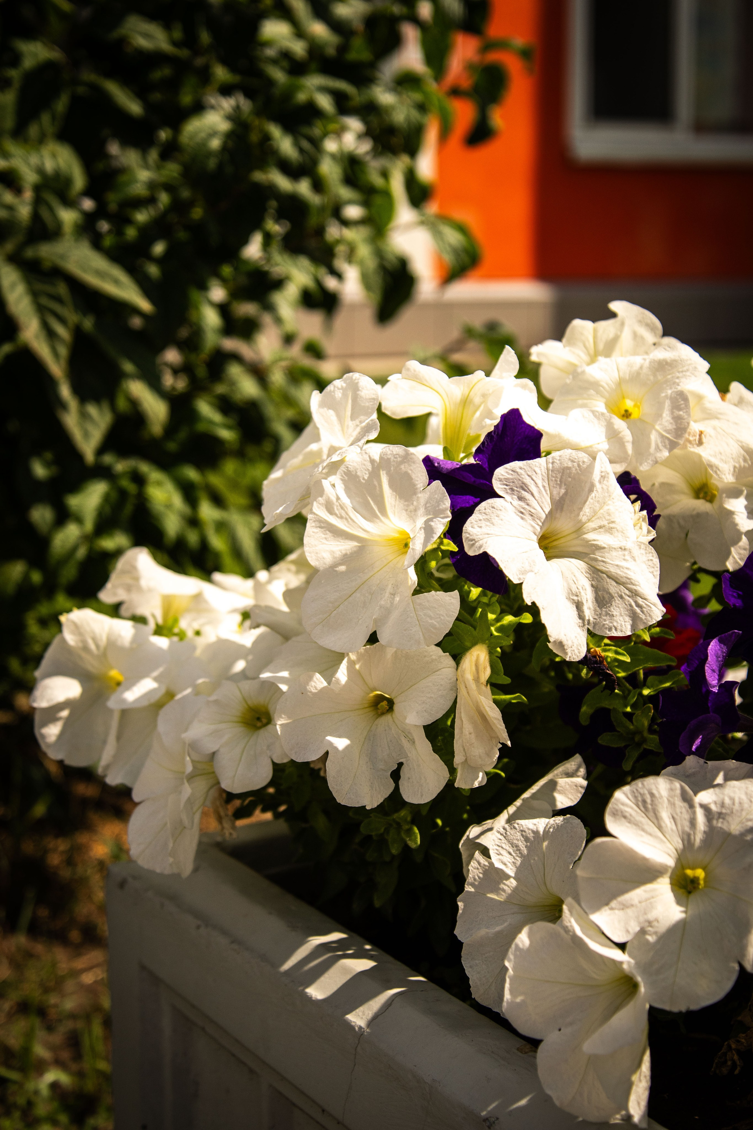 Съемка района Новопатрушево. Фотографы в Тюмени Андрей и Лидия Войвод