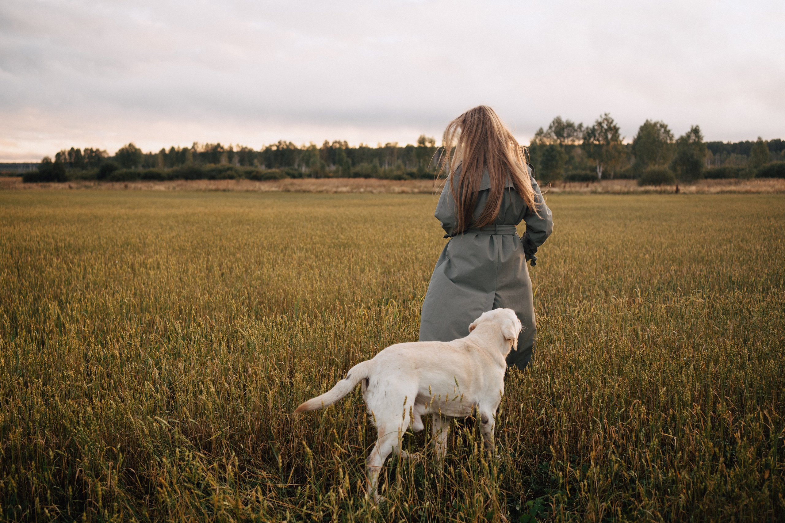 Дана и Арчи. Фотограф-анималист Анастасия Большакова
