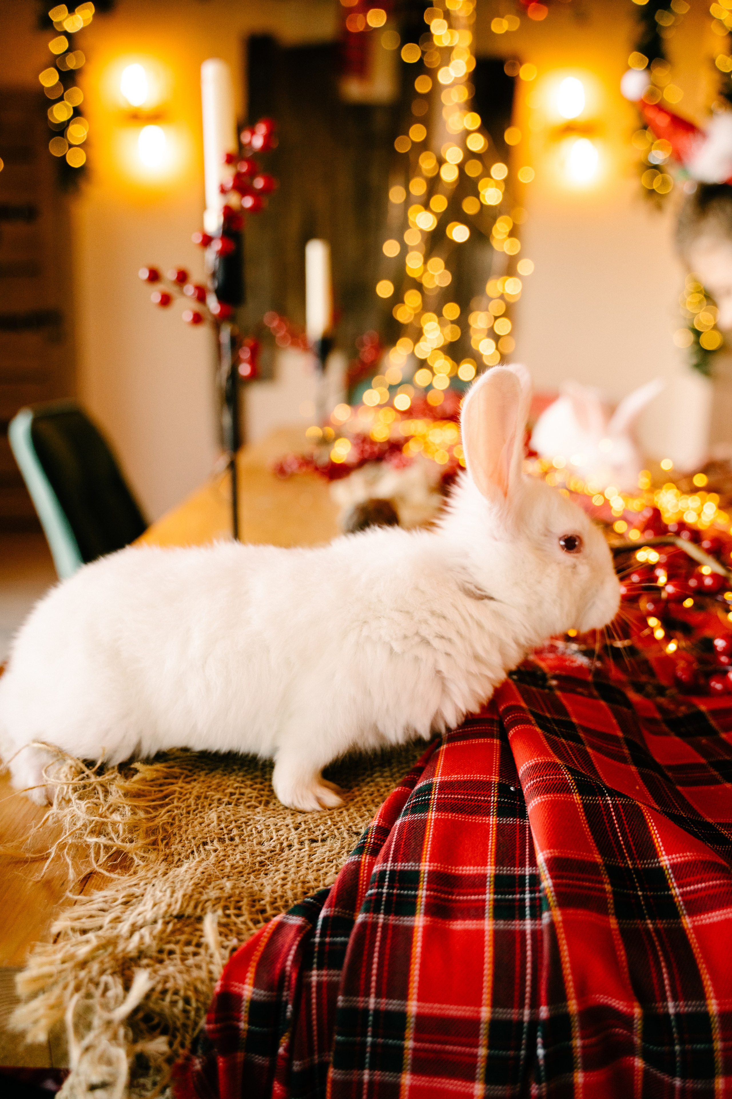 Новогодняя история. Свадебный фотограф Юлия Копылова