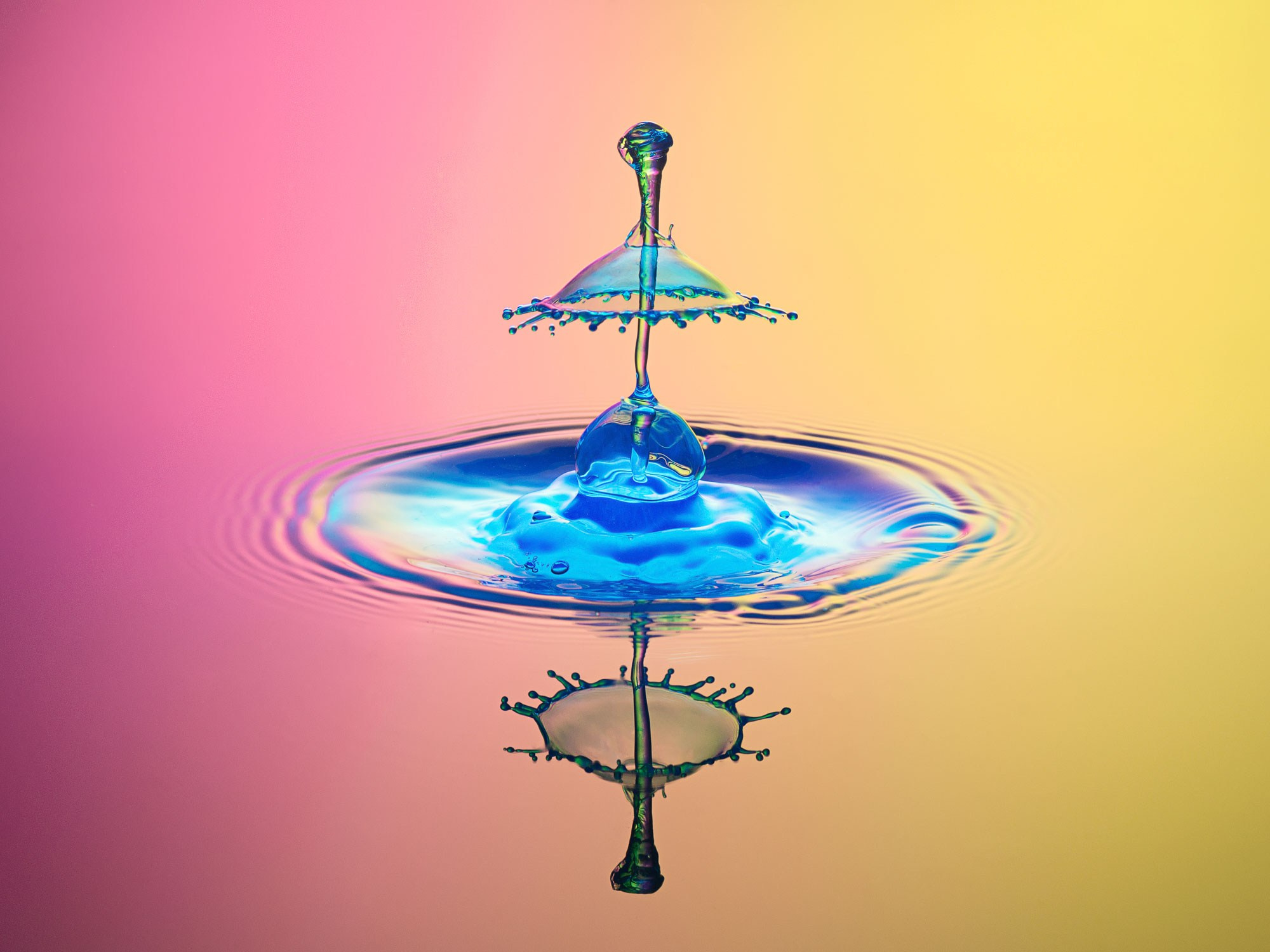 Классические формы. Скульптуры из воды Сергея Толмачева