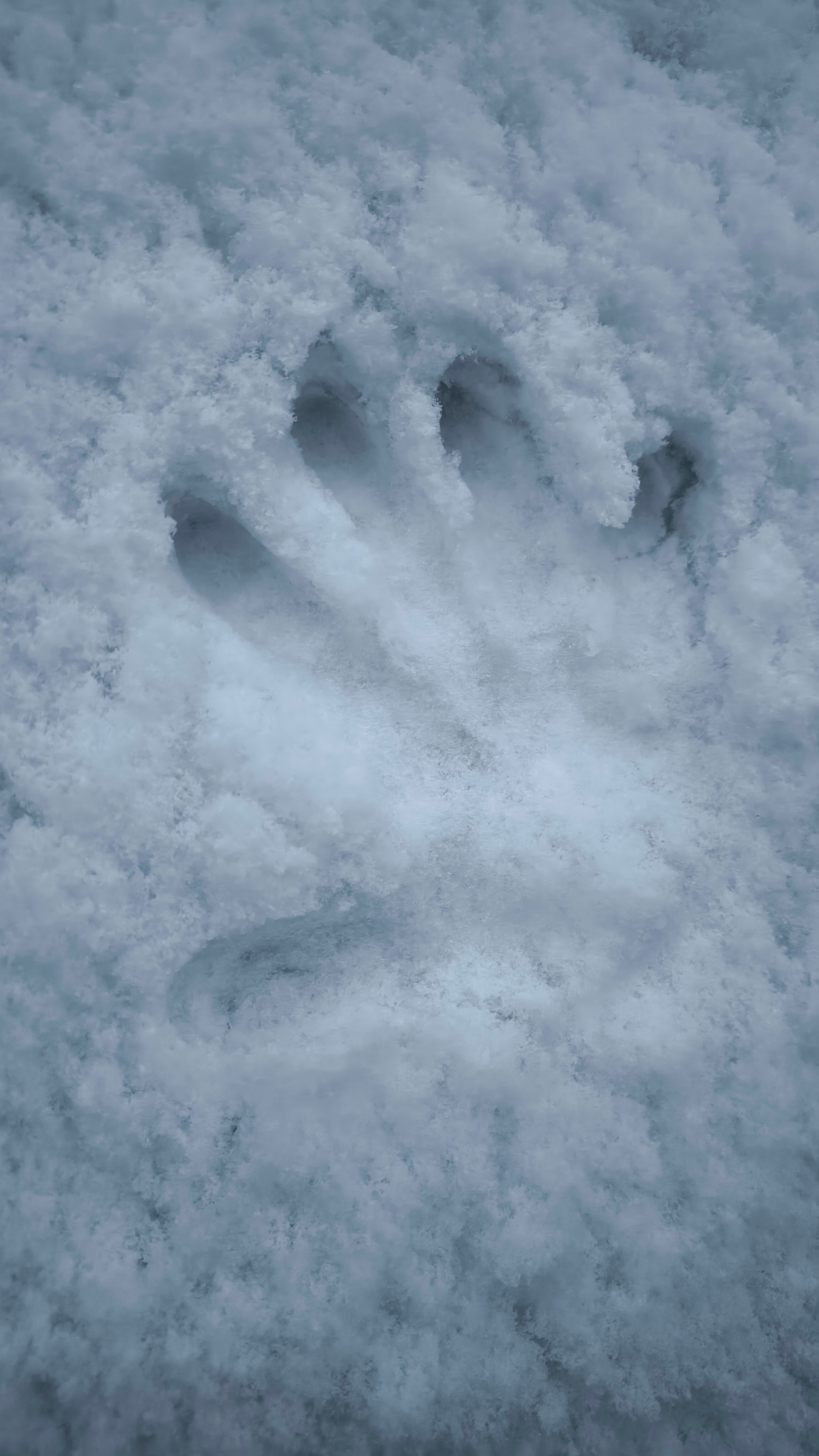 Чувства. Контент-фотограф Рязань/Москва/Санкт-Петербург/Сочи Елена Сазонтова