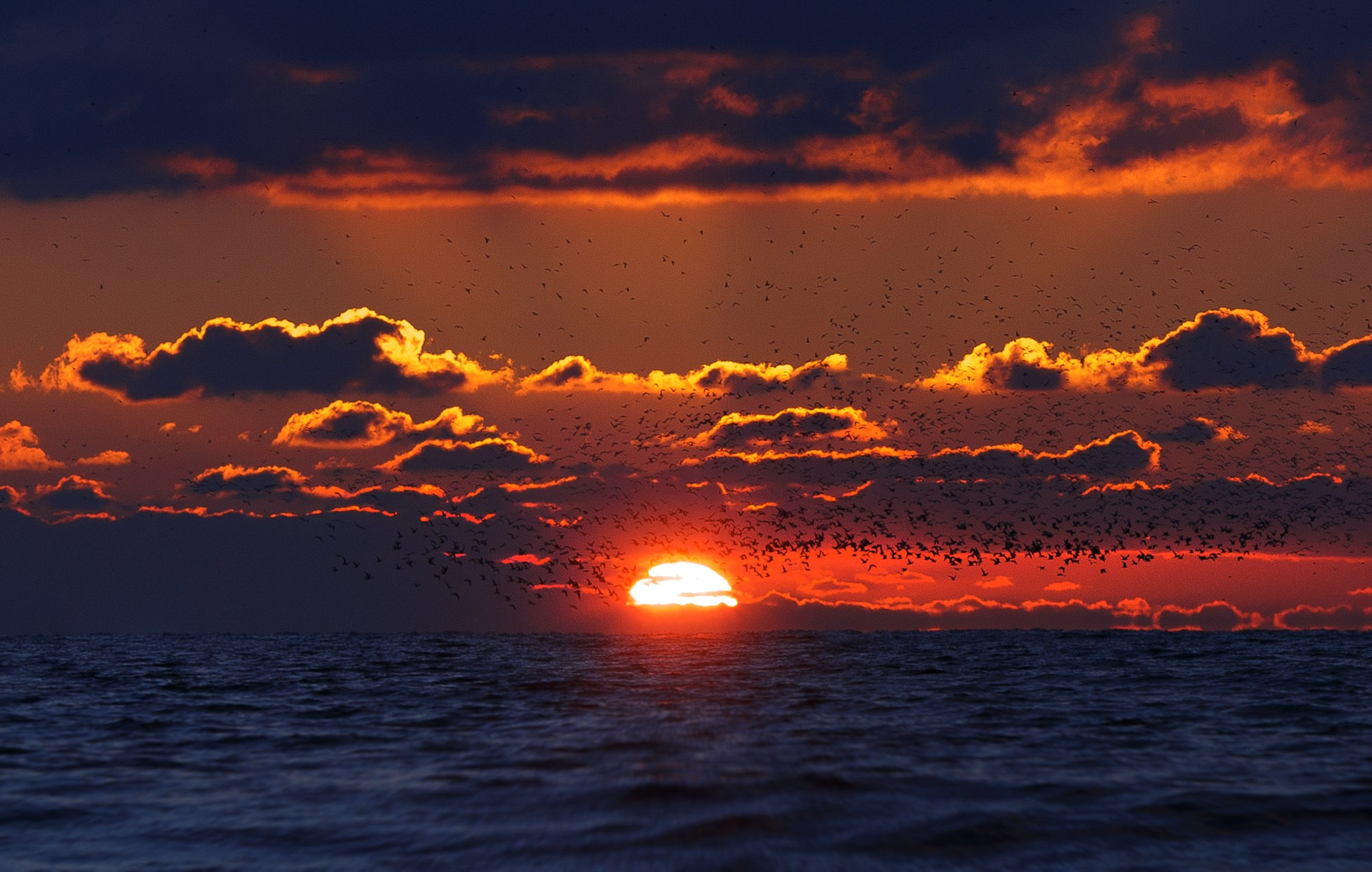 Море и серферы. Репортажный и постановочный Наталья Санникова