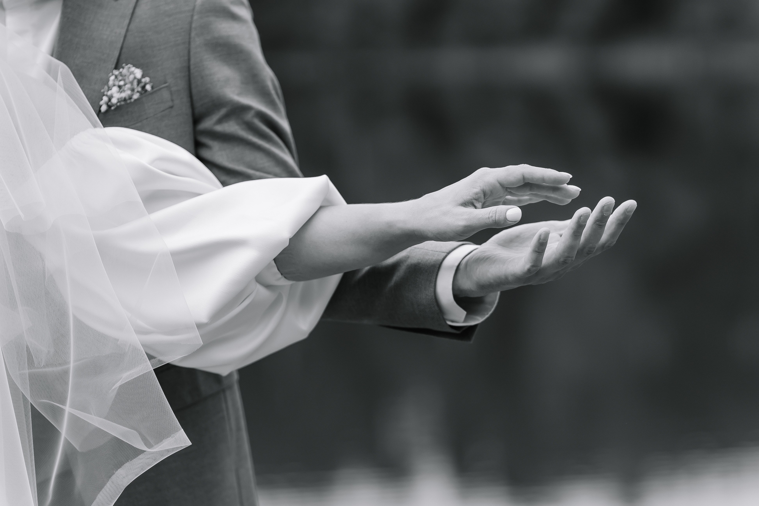 Алексей/Анна. Свадебный фотограф