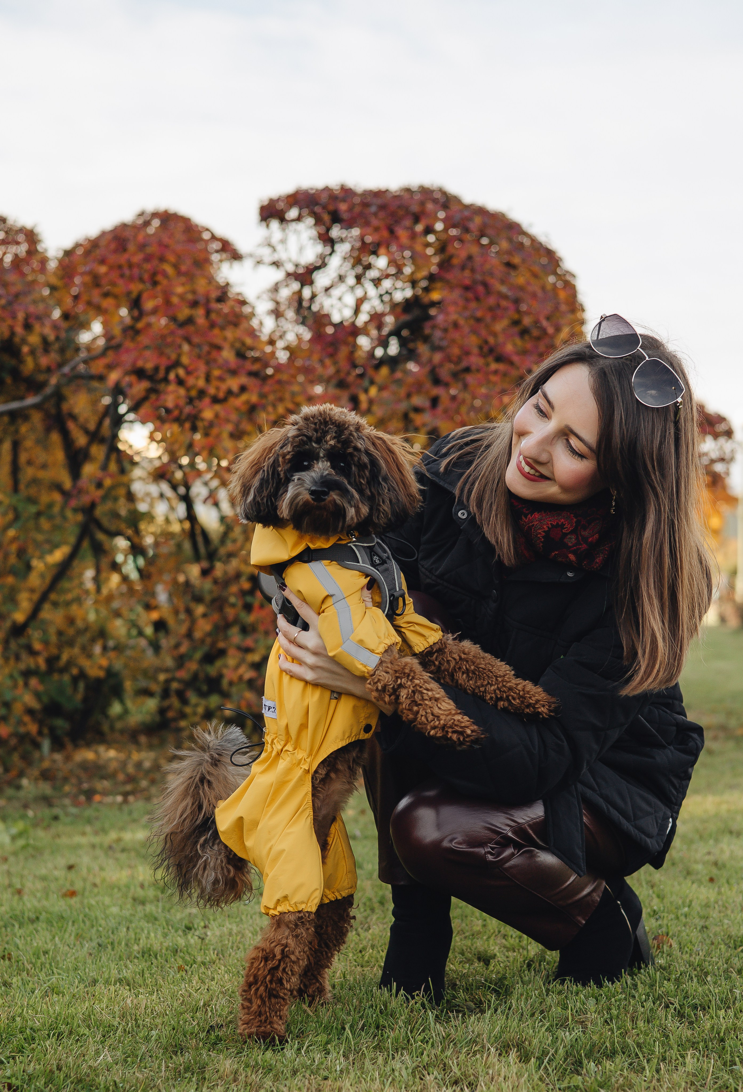 Летающая Мерси