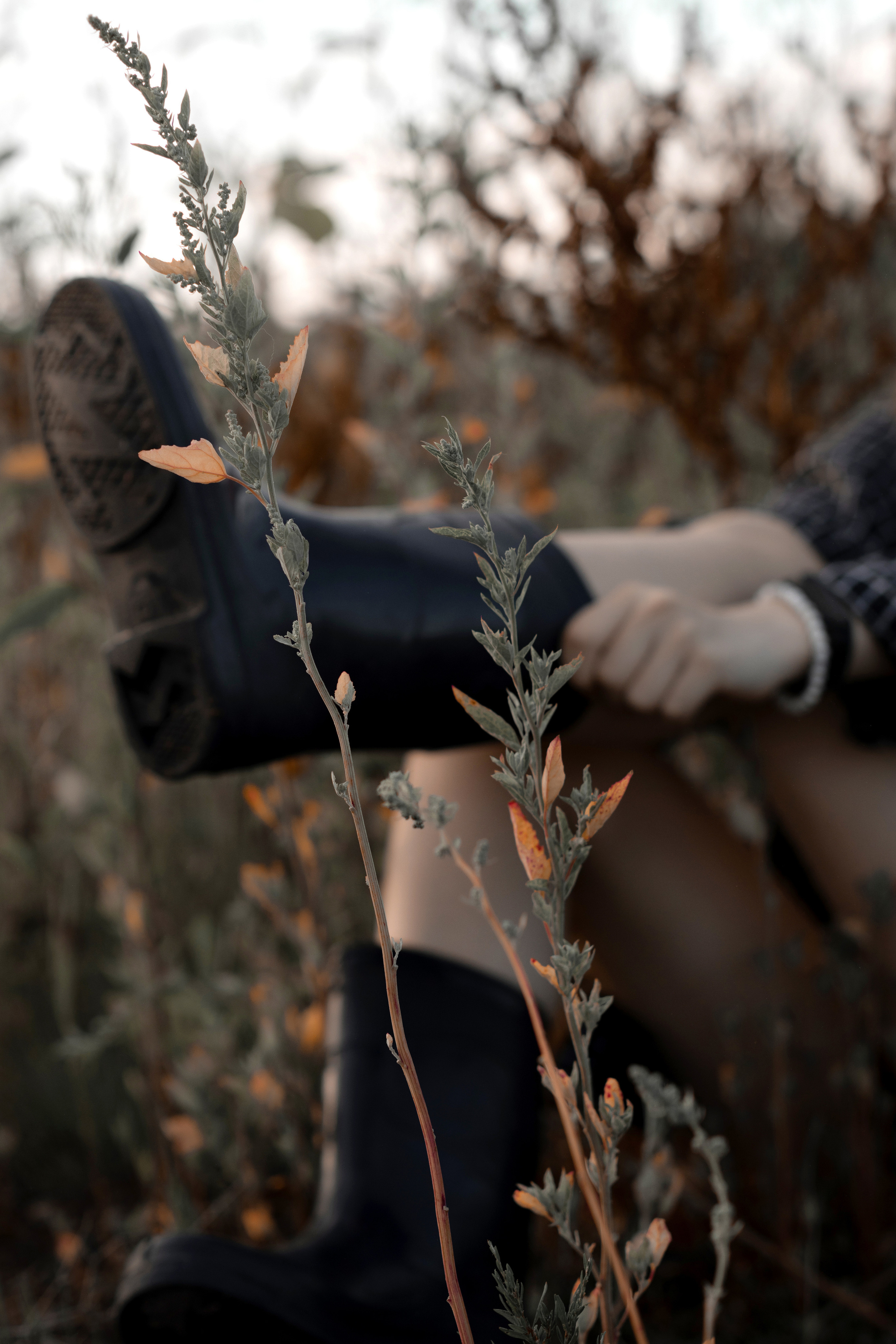 Ksenya «летняя фотосессия в поле». Фотограф Марина Семенова г. Владивосток