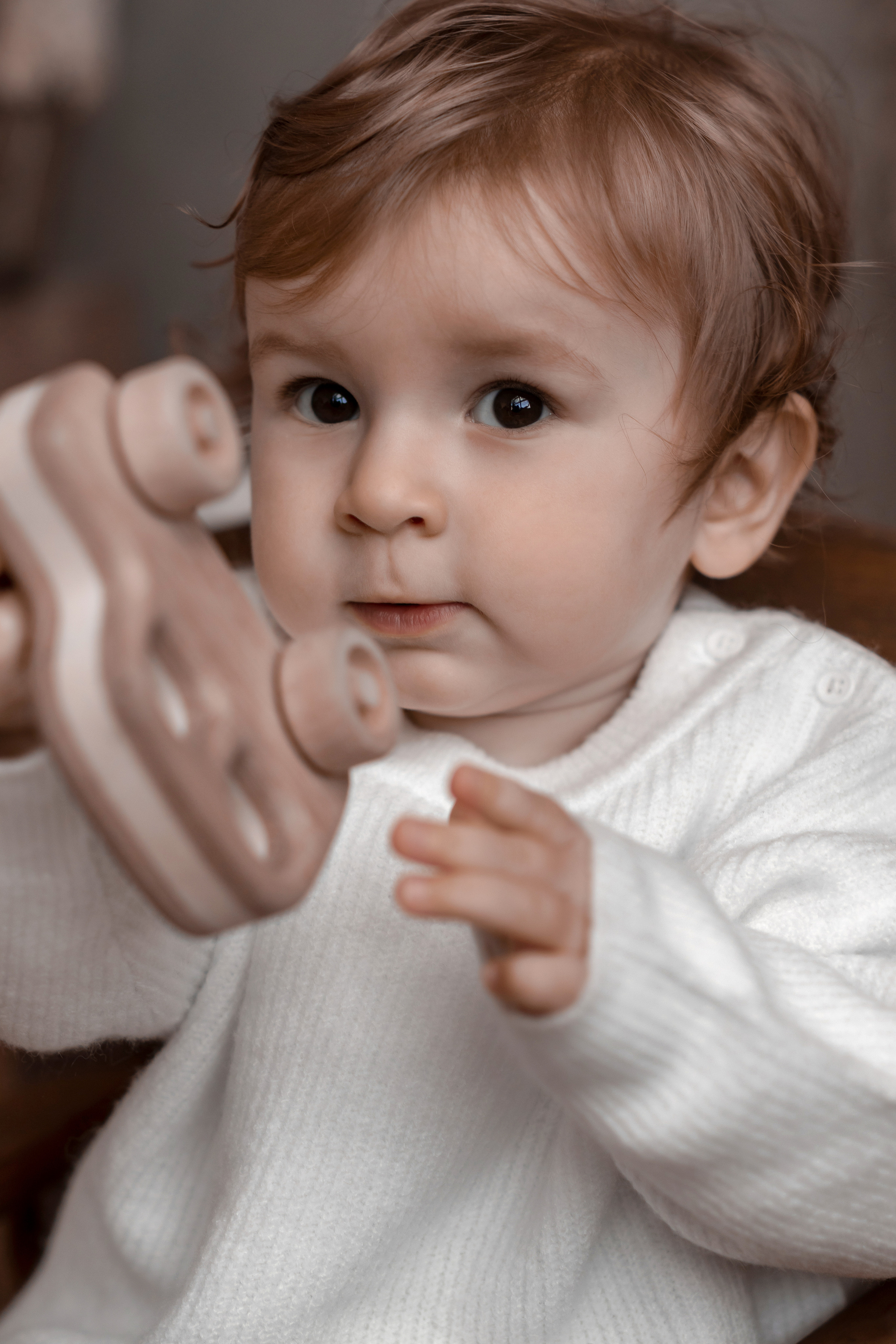 Мироша «Новогодняя фотосессия». Фотограф Марина Семенова г. Владивосток
