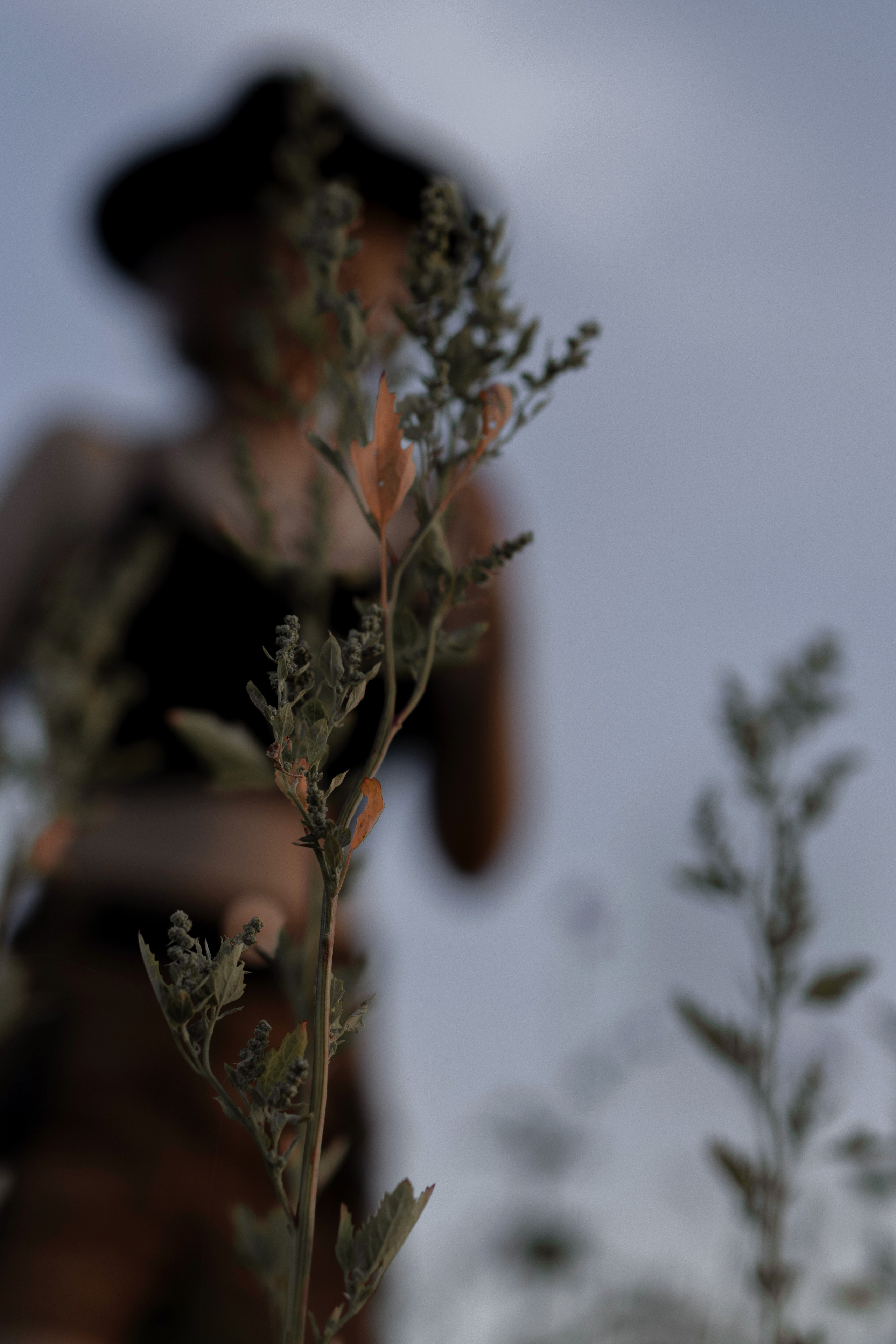 Вероника. Фотограф Марина Семенова г. Владивосток