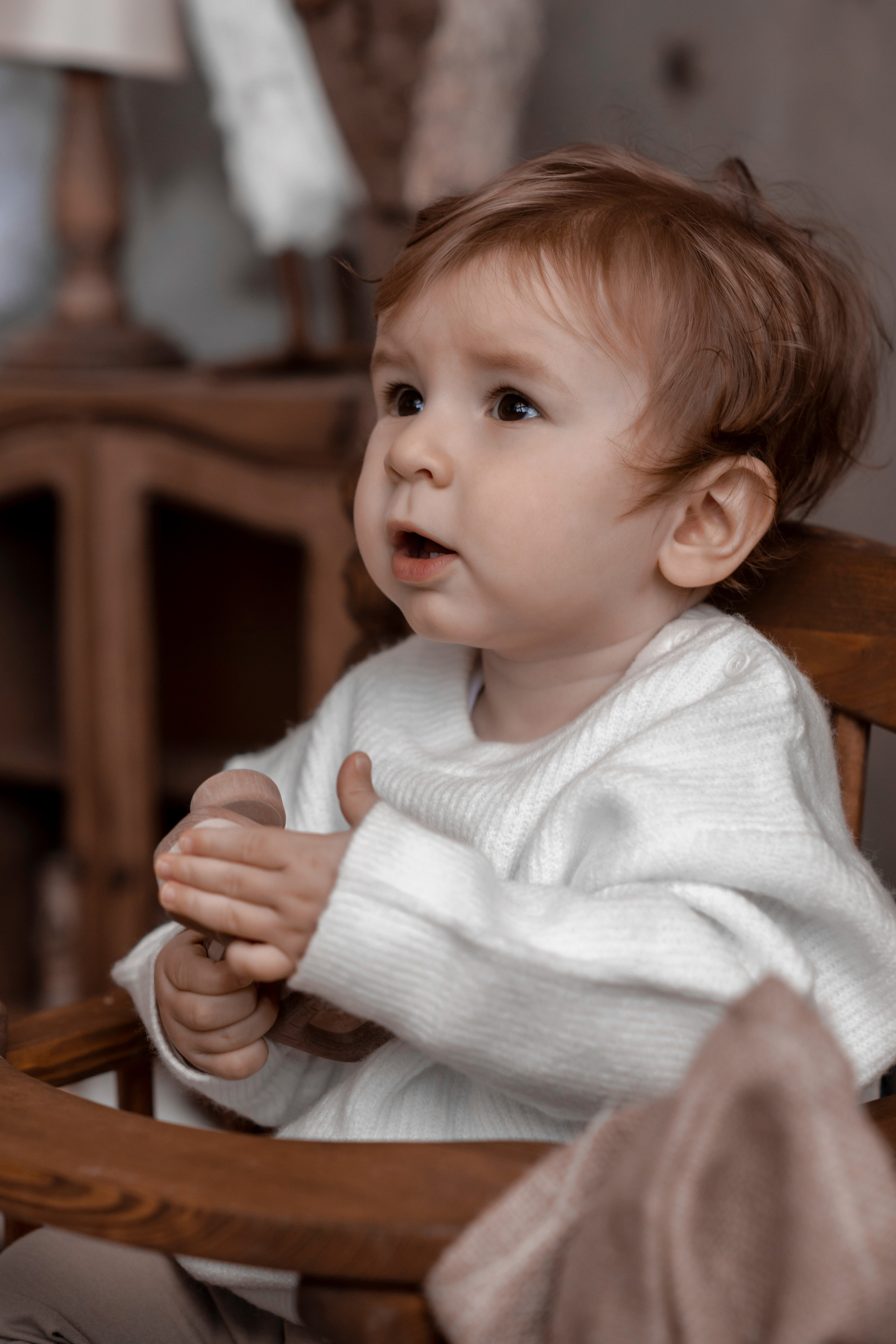 Мироша «Новогодняя фотосессия». Фотограф Марина Семенова г. Владивосток