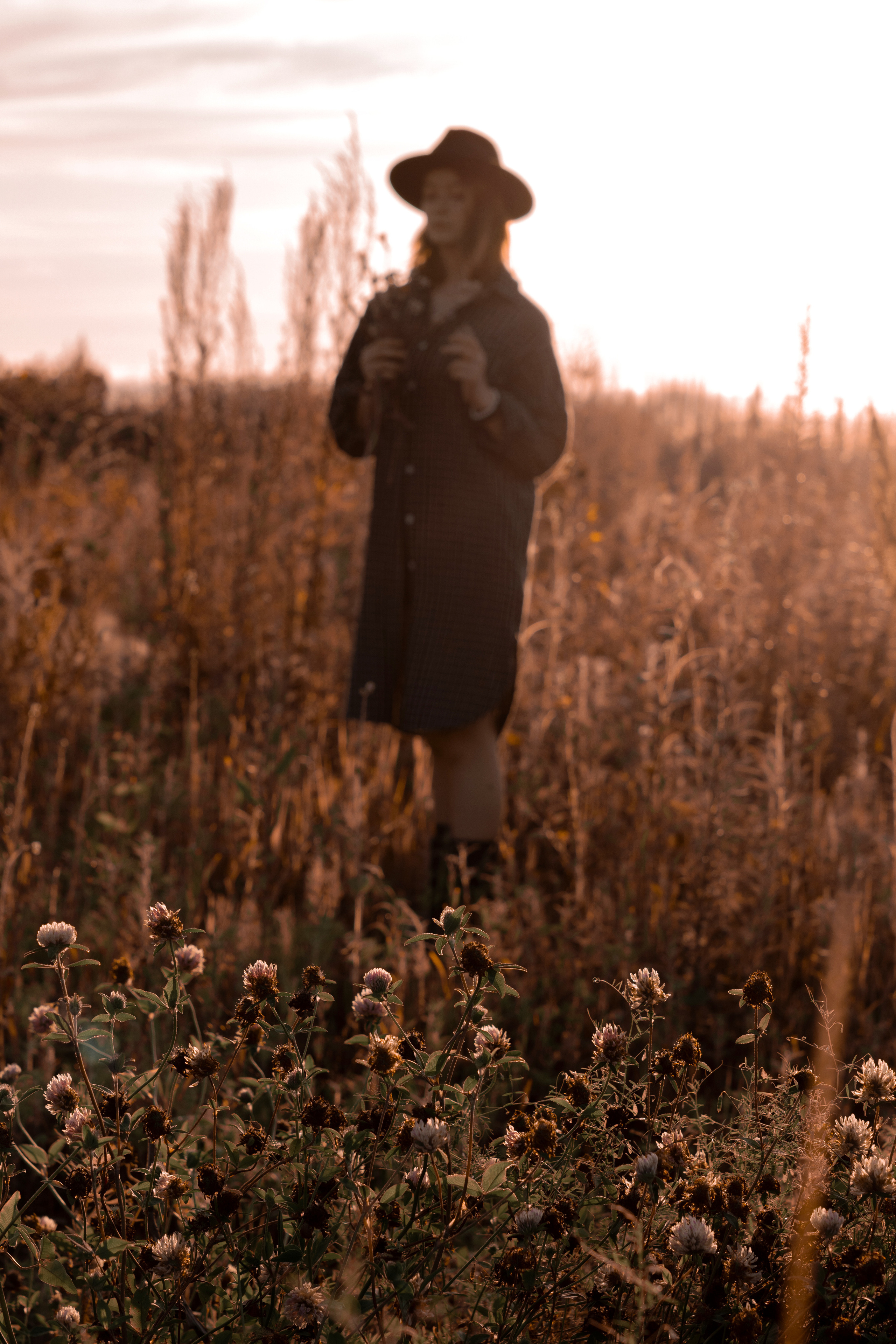 Ksenya «летняя фотосессия в поле». Фотограф Марина Семенова г. Владивосток