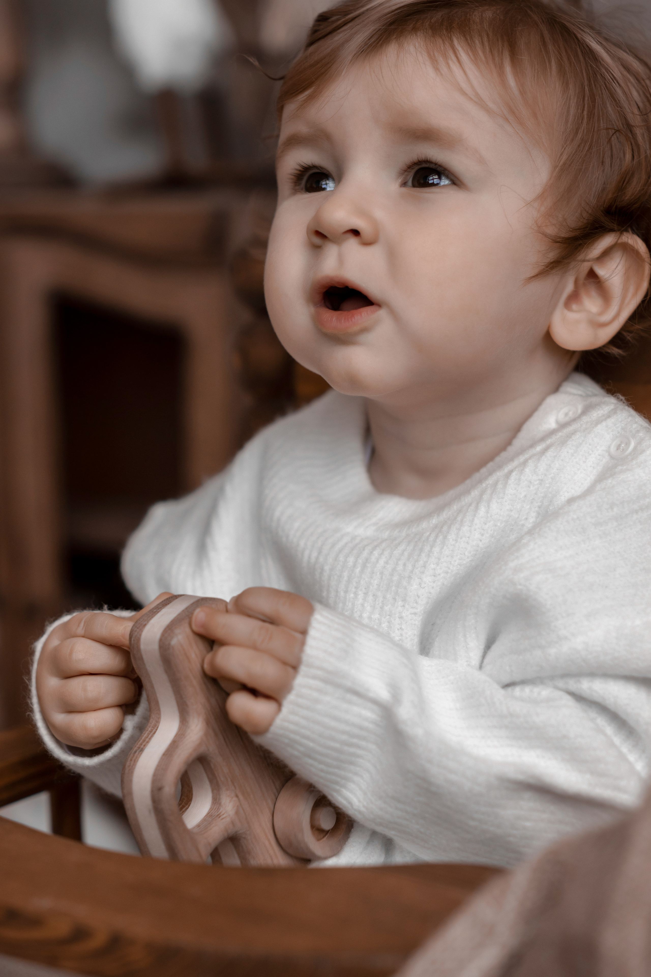 Мироша «Новогодняя фотосессия». Фотограф Марина Семенова г. Владивосток