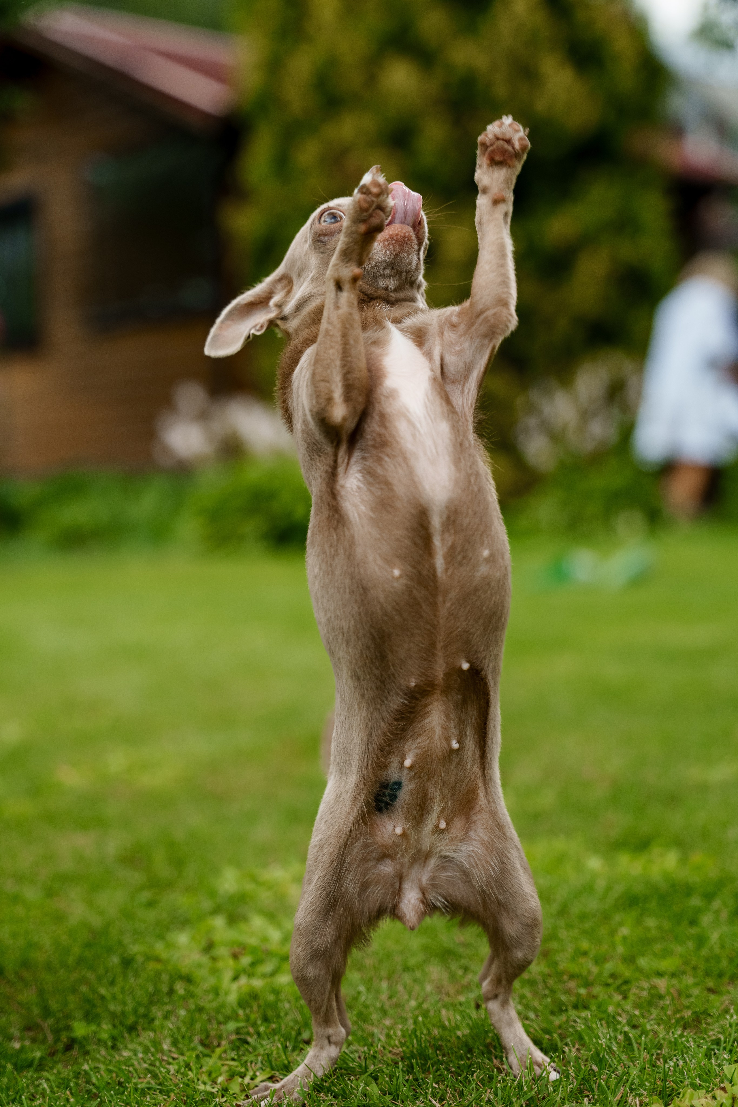 Ева 1 год. Станислав Тюрин Фотограф Москва. Индивидуальные и семейные фотосессии;