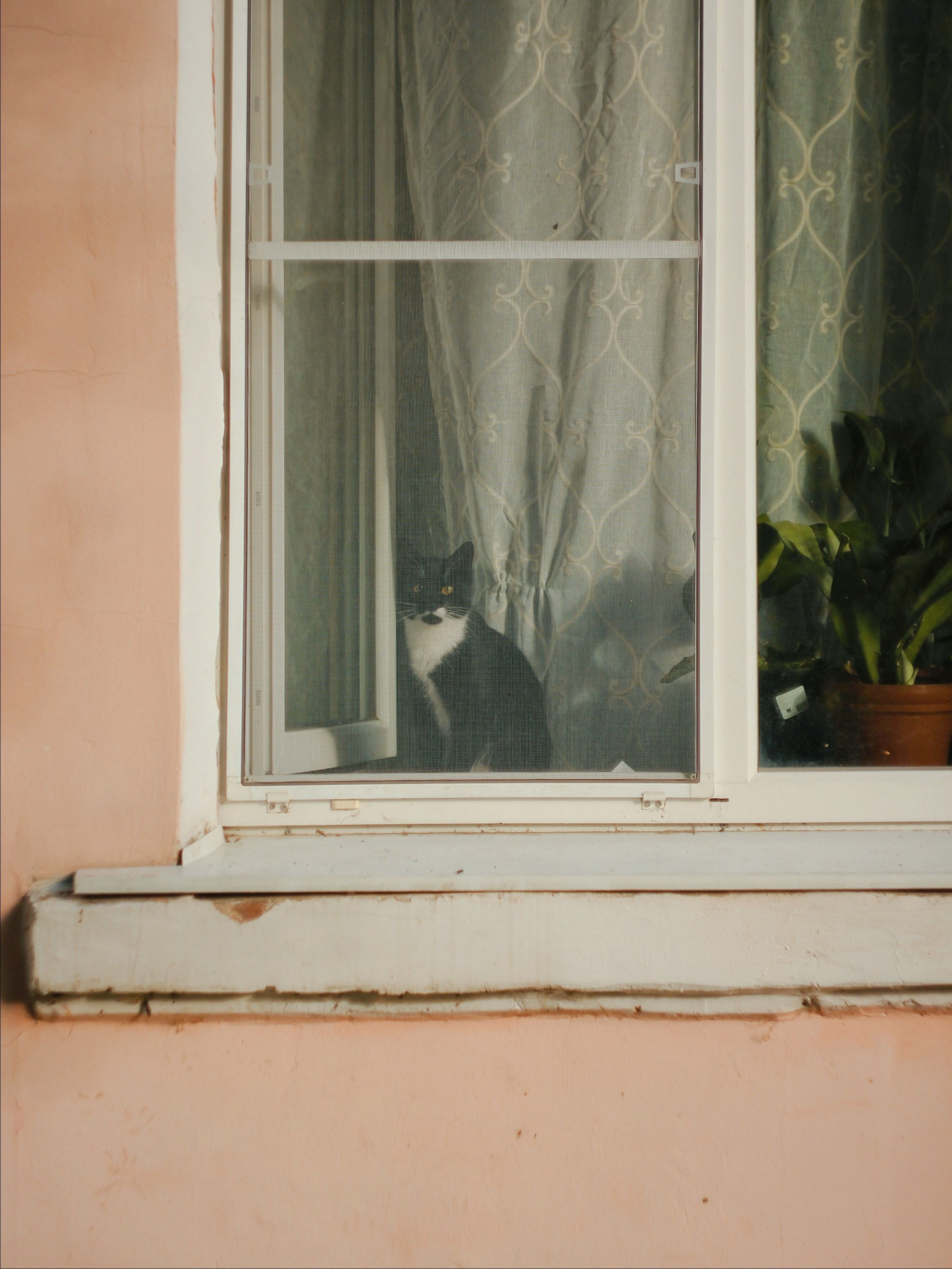 Уличные модели. С любовью, фотохудожник
