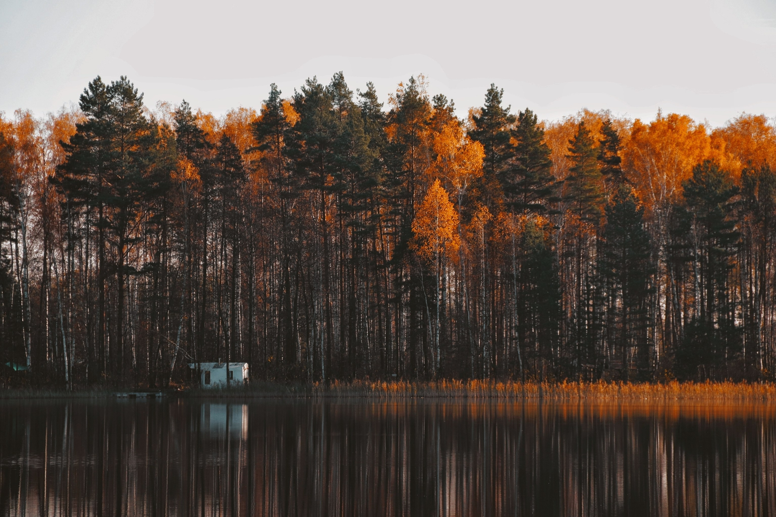 По тропе Паустовского. С любовью, фотохудожник