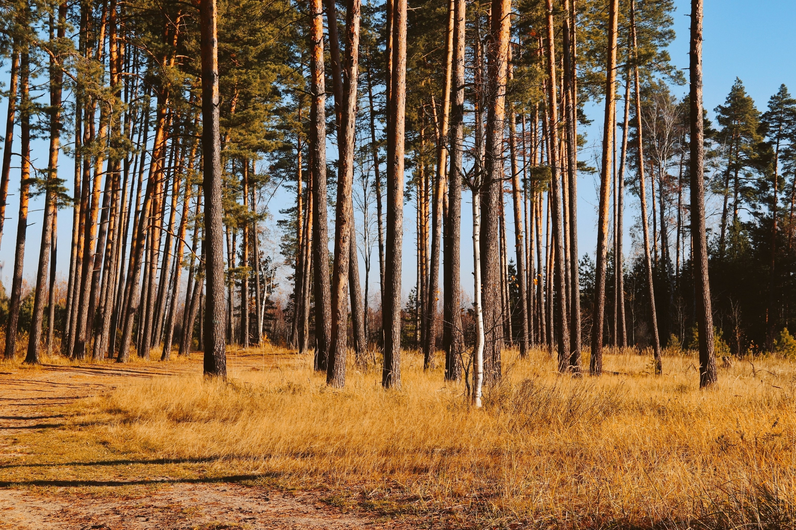 По тропе Паустовского. С любовью, фотохудожник
