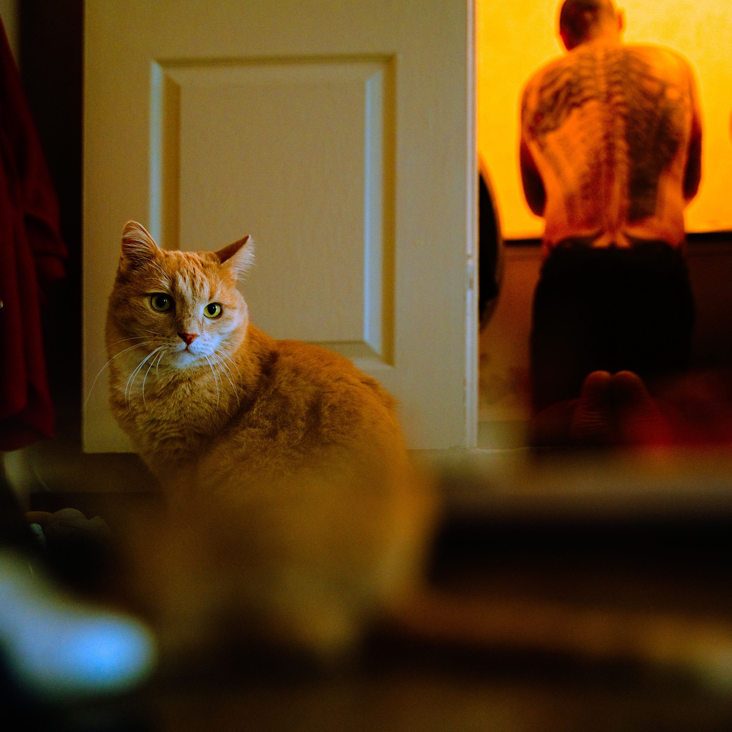 Chill wedding. Фотограф Серафим Крюков