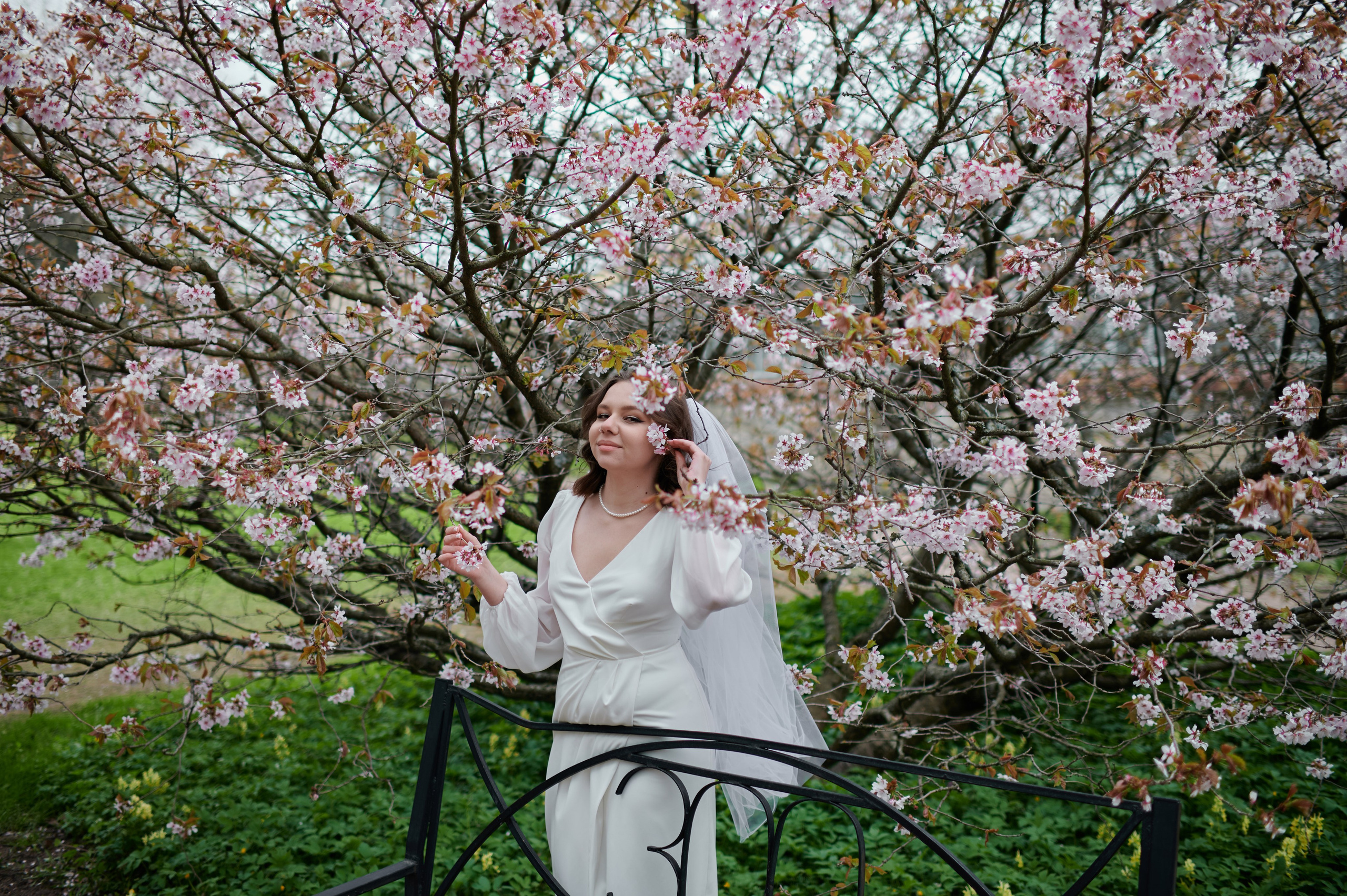 Ксения и Егор (фотосессия в ЗАГСе Петроградского района, Ботаническом саду с сакурой). Портретный, семейный и свадебный фотограф в Санкт-Петербурге и в Пушкине Ширяев Денис