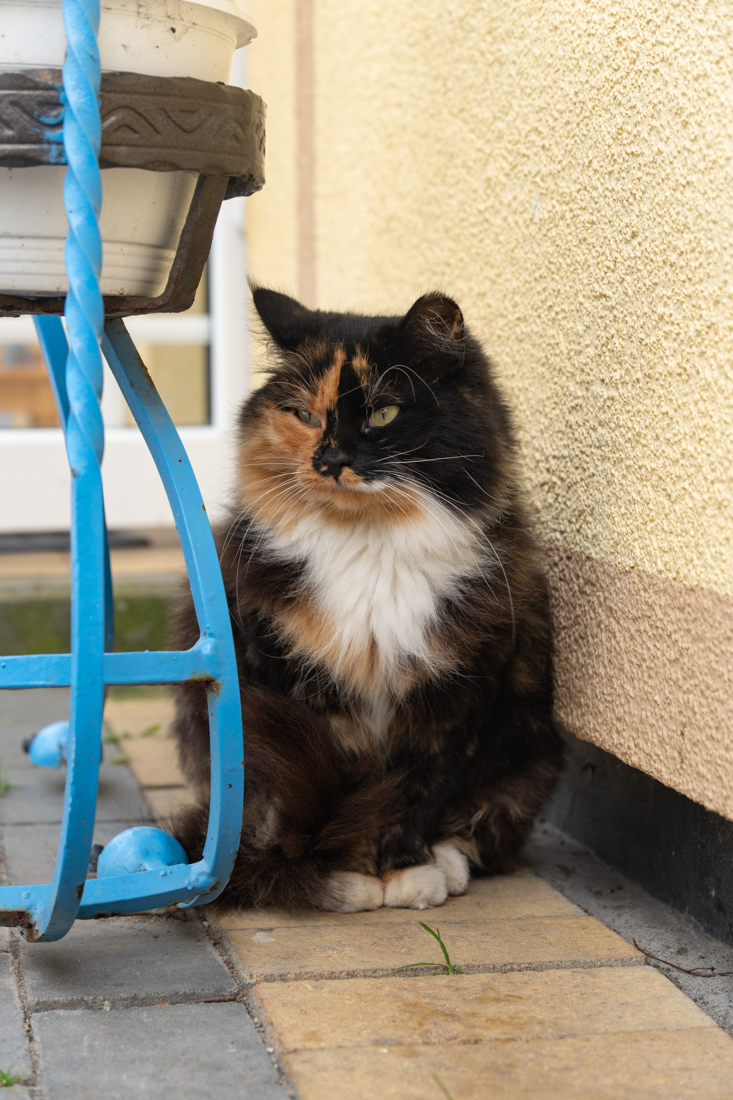 Калининградская область. Gusarov Travel Photography