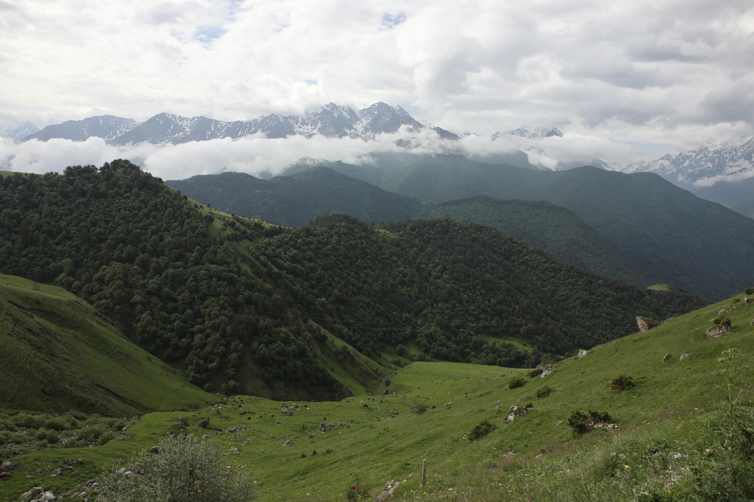 Пейзаж. Фотограф Наталья Туева FineArt съёмка